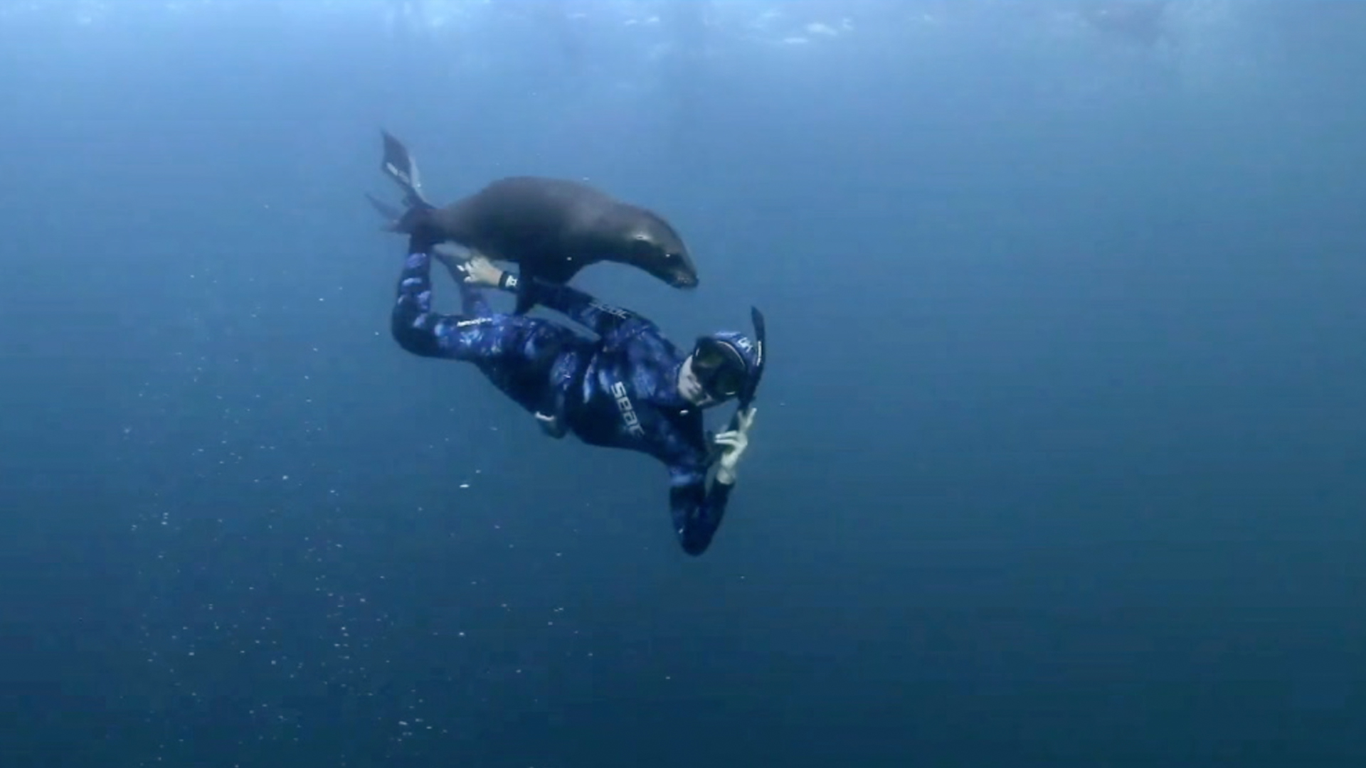 Underwater - HD Wallpaper 