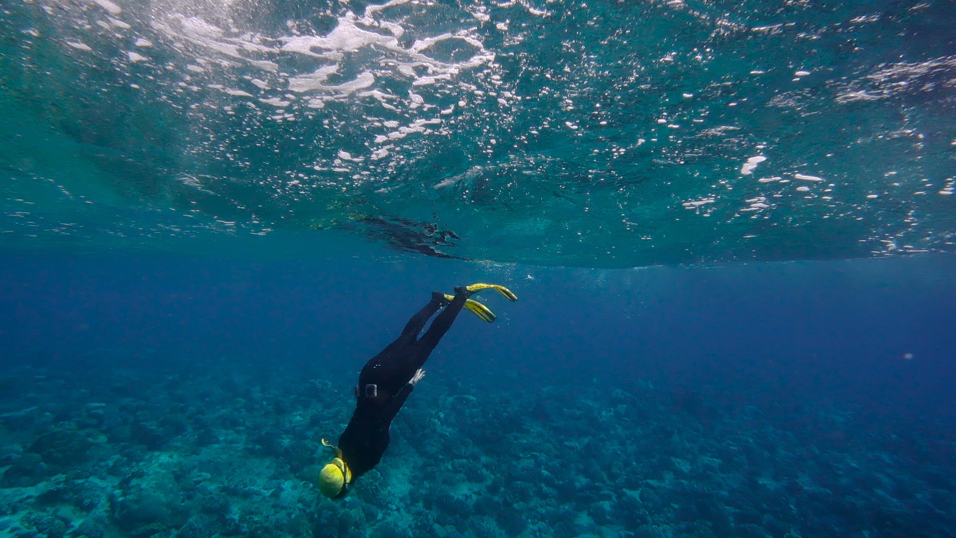 Underwater - HD Wallpaper 