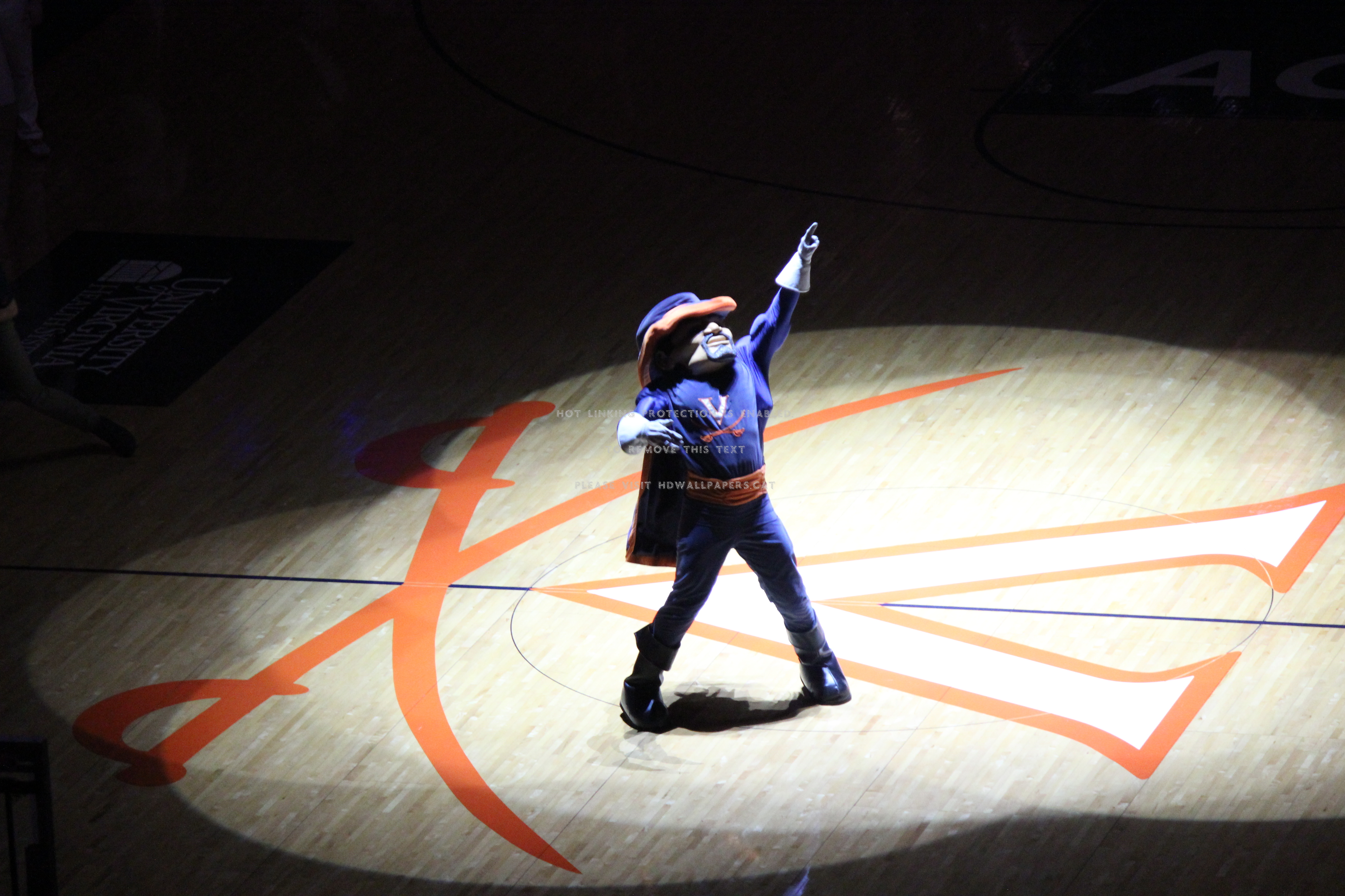 Uva Mascot University Of Virginia - Performance - HD Wallpaper 