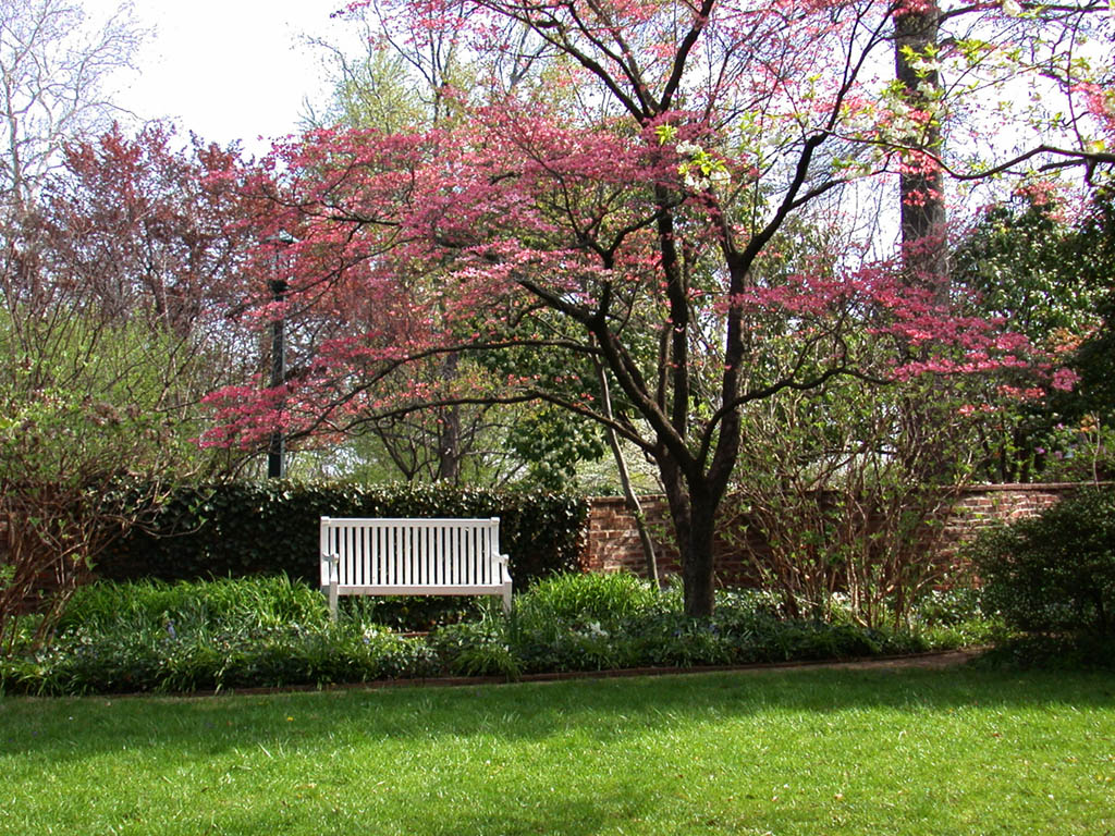 Wallpaper Uva Backgrounds Amp Screensavers Spring Wallpaper - Outside Backgrounds - HD Wallpaper 