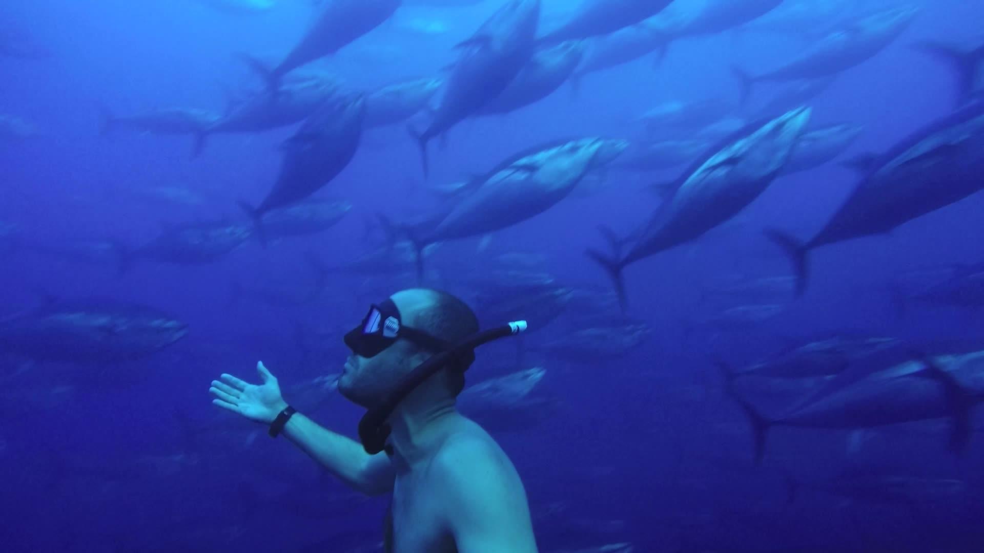 Underwater - HD Wallpaper 