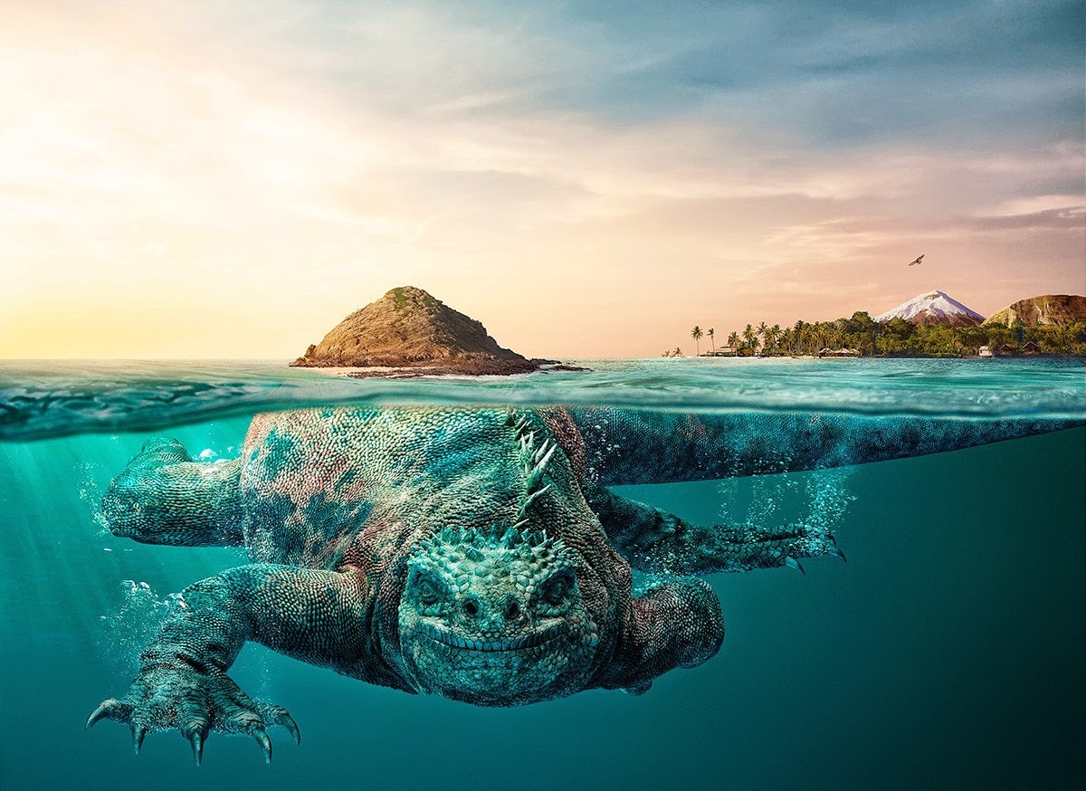 Sony Jackson Background Hd Png - HD Wallpaper 