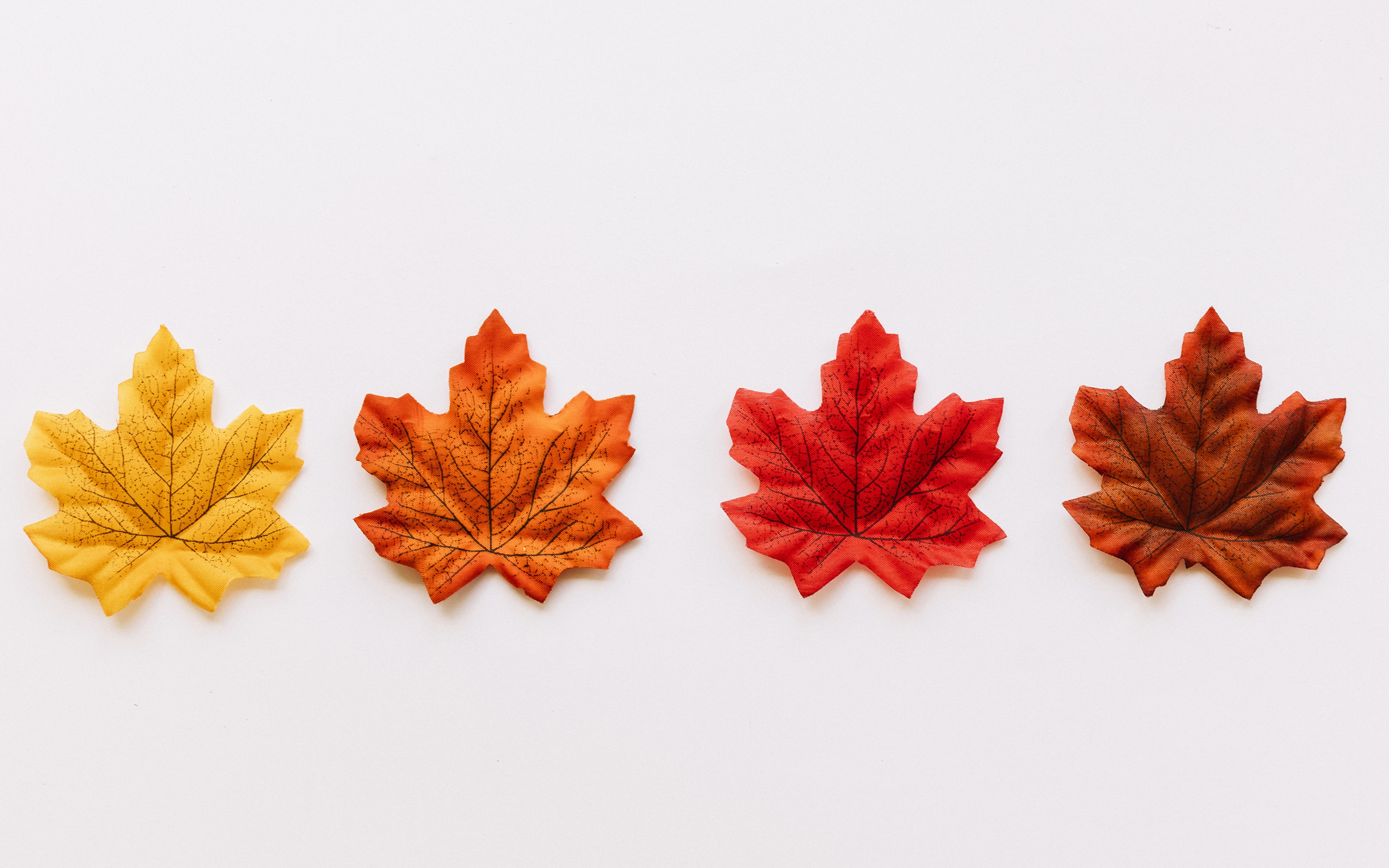 Sop Sample For Canada - HD Wallpaper 