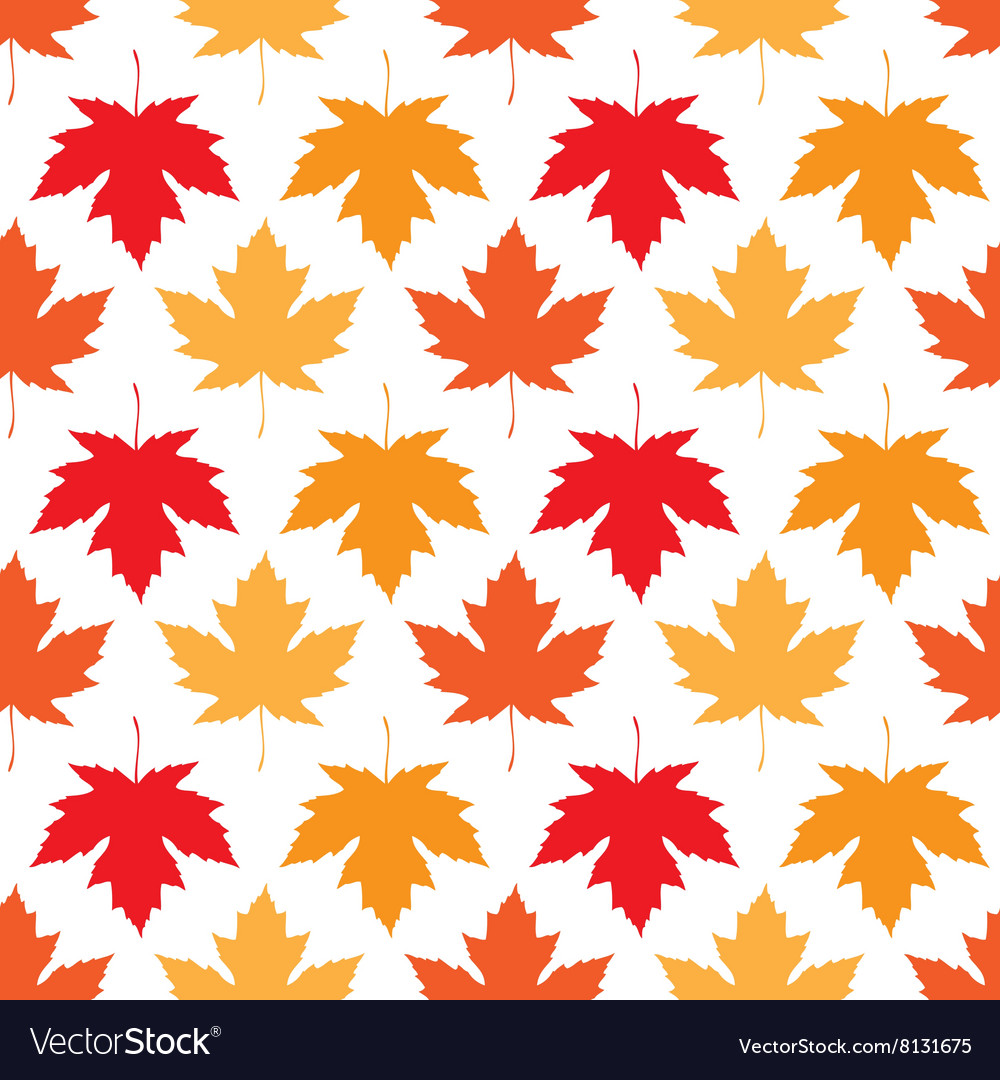 Maple Leaf - HD Wallpaper 