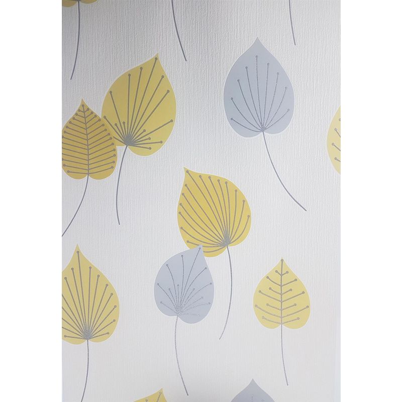 Cockle - HD Wallpaper 