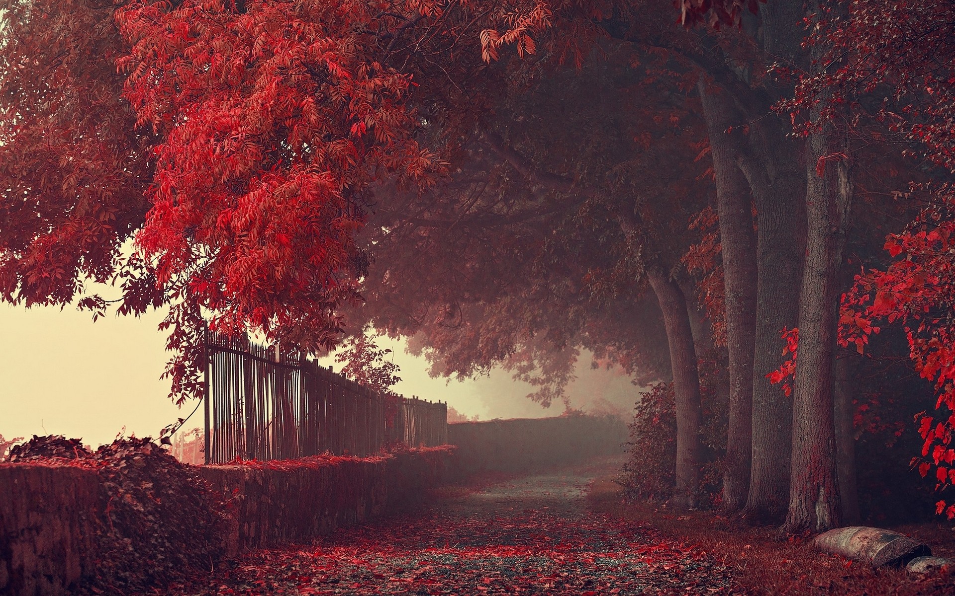 Autumn Wallpaper Red - HD Wallpaper 