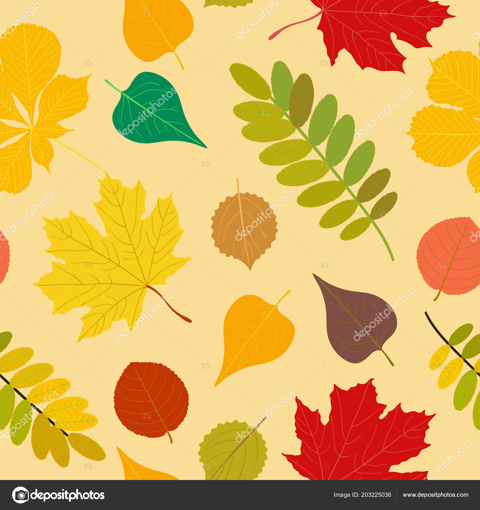 Autumn - HD Wallpaper 