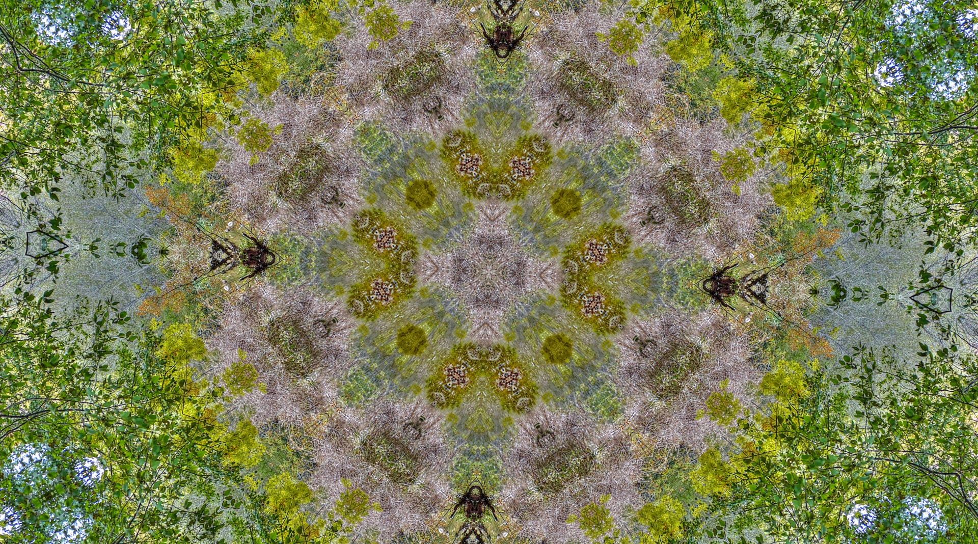 Background Wallpaper Green Free Photo - Fractal Art - HD Wallpaper 