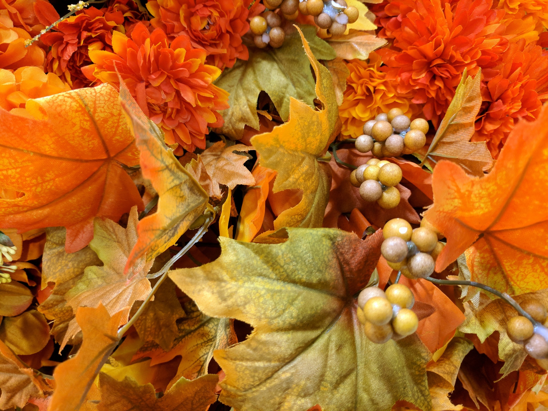 Background Wallpaper Autumn Free Photo - Autumn - HD Wallpaper 