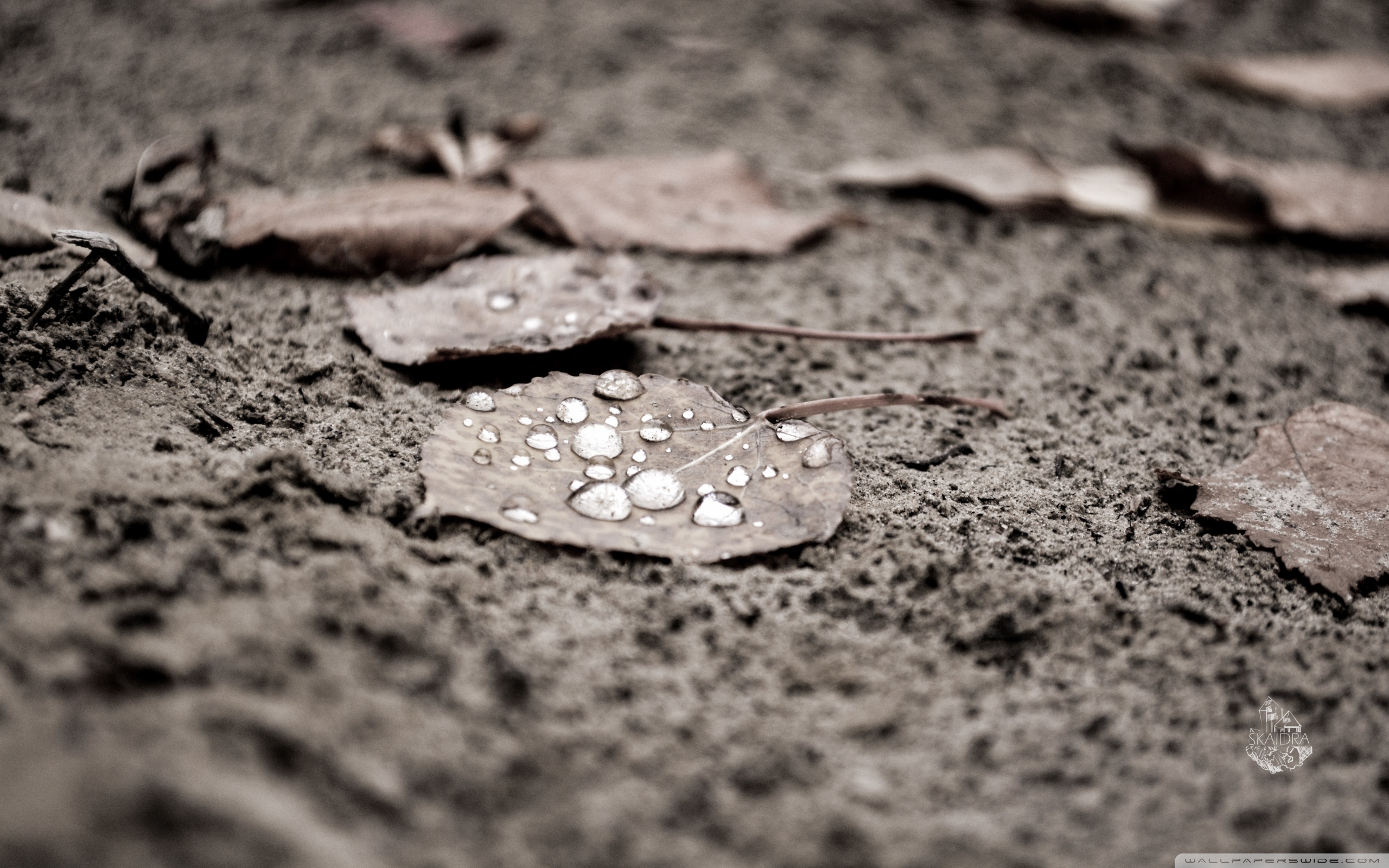 16:10 Aspect Ratio - HD Wallpaper 