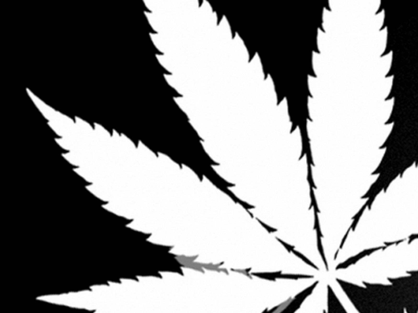 Nice Fat, Big Fn Cannabis Leaf In Black And White - Weed Black And White -  1600x1200 Wallpaper 