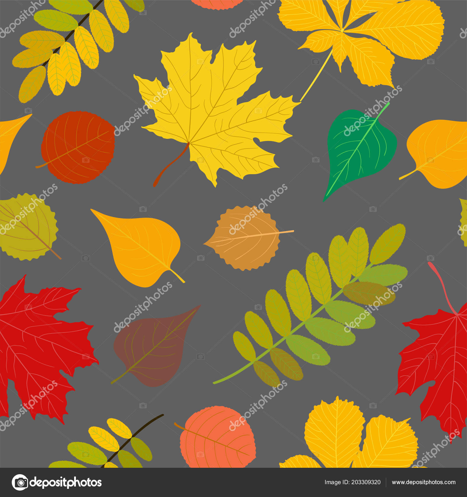 可愛い 秋 画像 壁紙 - HD Wallpaper 
