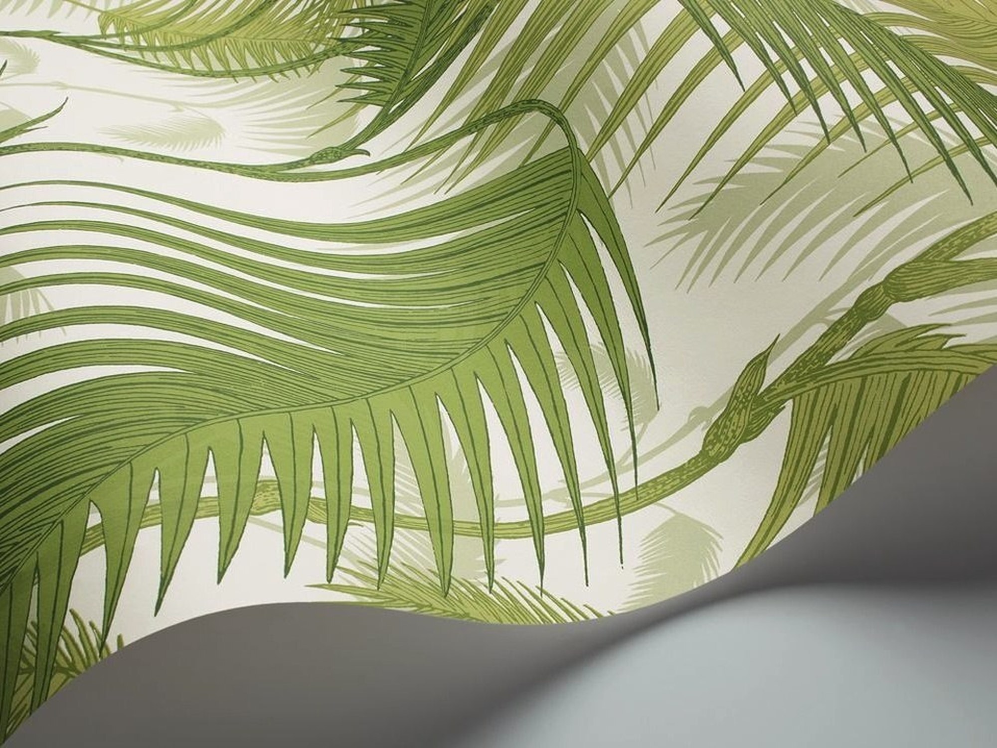 Cole & Son Wallpapers Palm Jungle - HD Wallpaper 