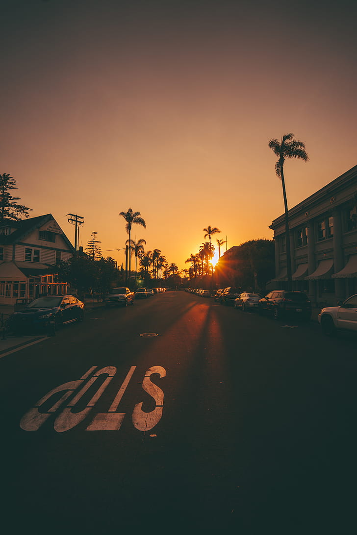White And Brown Houses During Sunset - Golden Hour - HD Wallpaper 