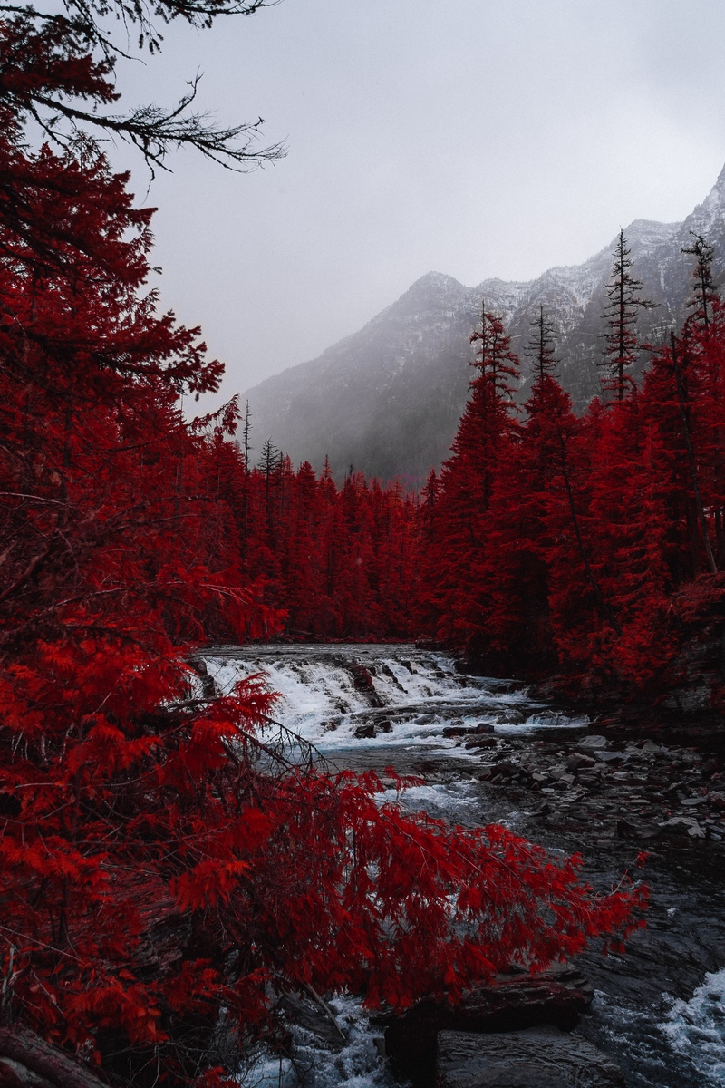 Wallpaper River, Trees, Red, Mountains, Fog, Landscape - West Glacier Mt Usa - 800x1200 Wallpaper Wallpaper River, Trees, Red, Mountains, Fog, Landscape - West Glacier Mt Usa - 800x1200 Wallpaper