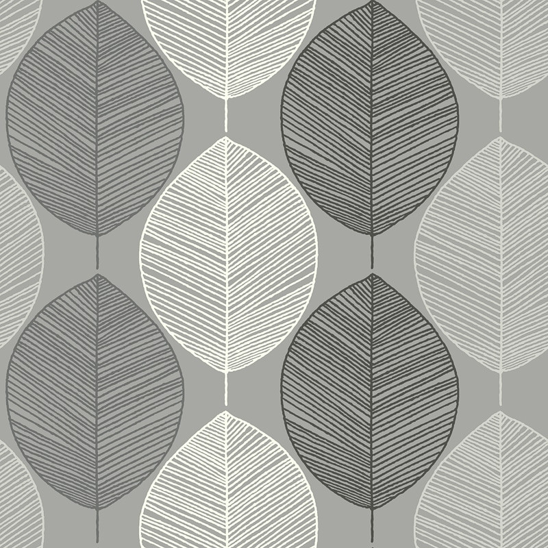 Wallpaper - HD Wallpaper 