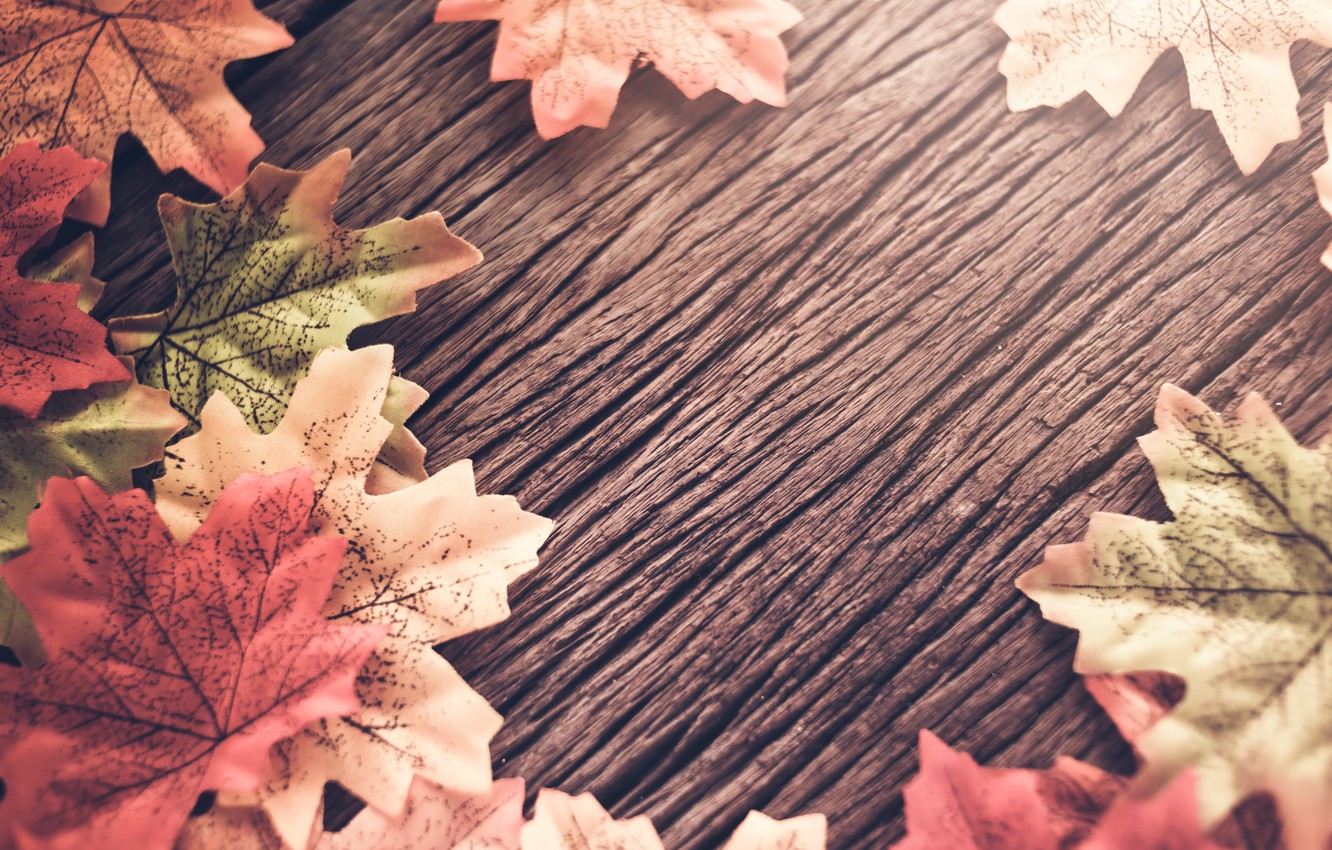 Photo Wallpaper Autumn, Leaves, Background, Tree, Wood, - Fall Leaves With Wood Background - HD Wallpaper 