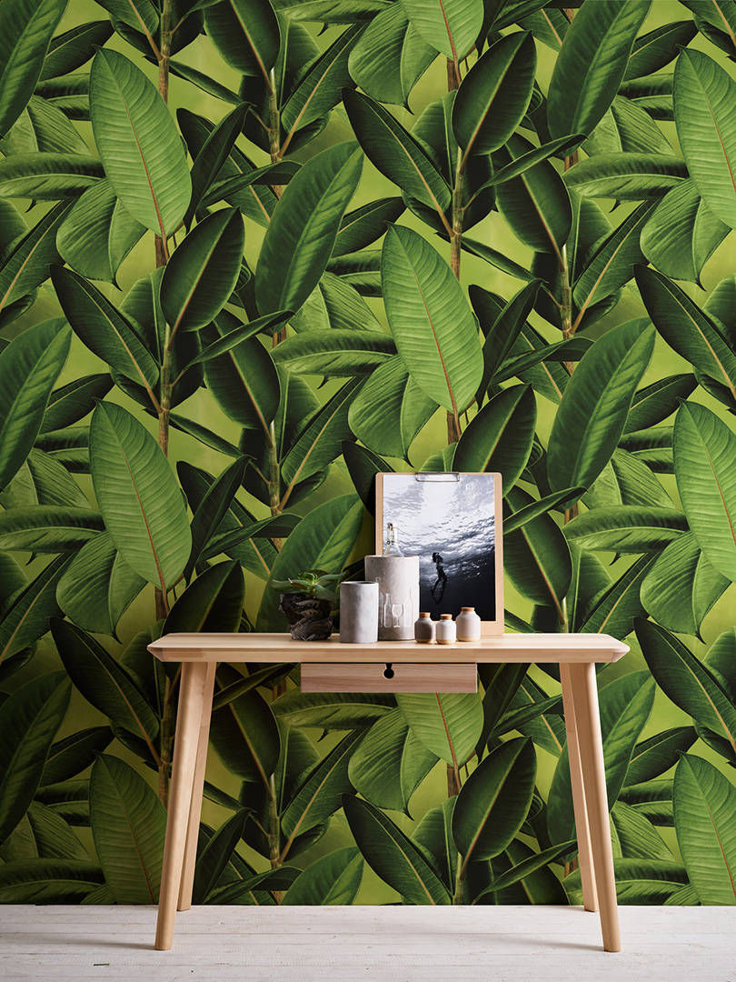 Modern Leaf - HD Wallpaper 