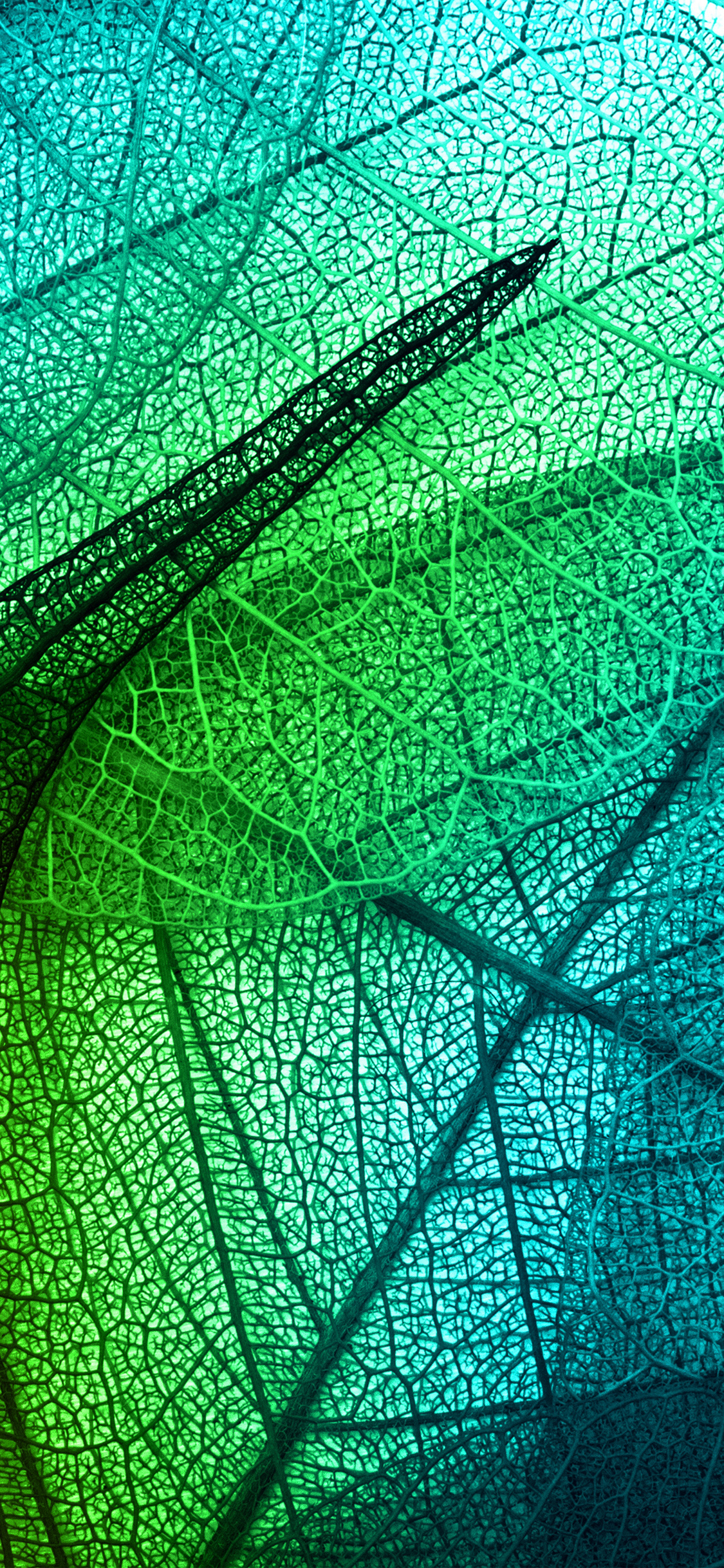 Com Apple Iphone Wallpaper Vm02 Leaves Art Green Blue - Iphone Green And Blue - HD Wallpaper 