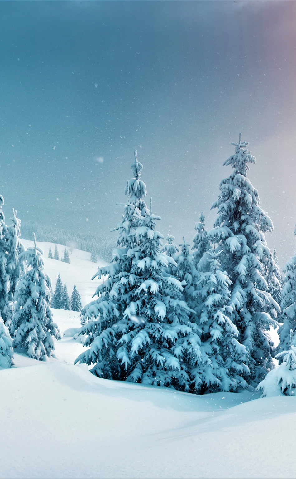 Winter, Trees, Forest, Snow, Nature, Wallpaper - Winter Background - HD Wallpaper 
