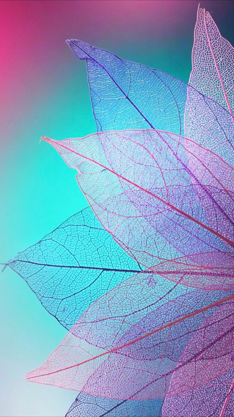 Colourful Wallpaper For Mobile - 750x1334 Wallpaper Colourful Wallpaper For Mobile - 750x1334 Wallpaper
