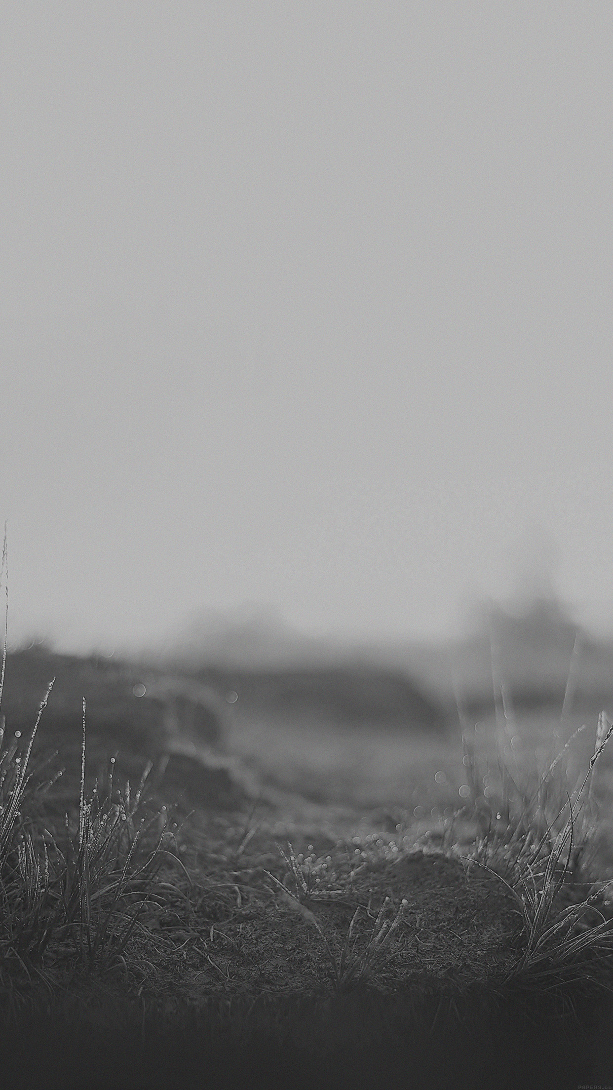 Monochrome - HD Wallpaper 