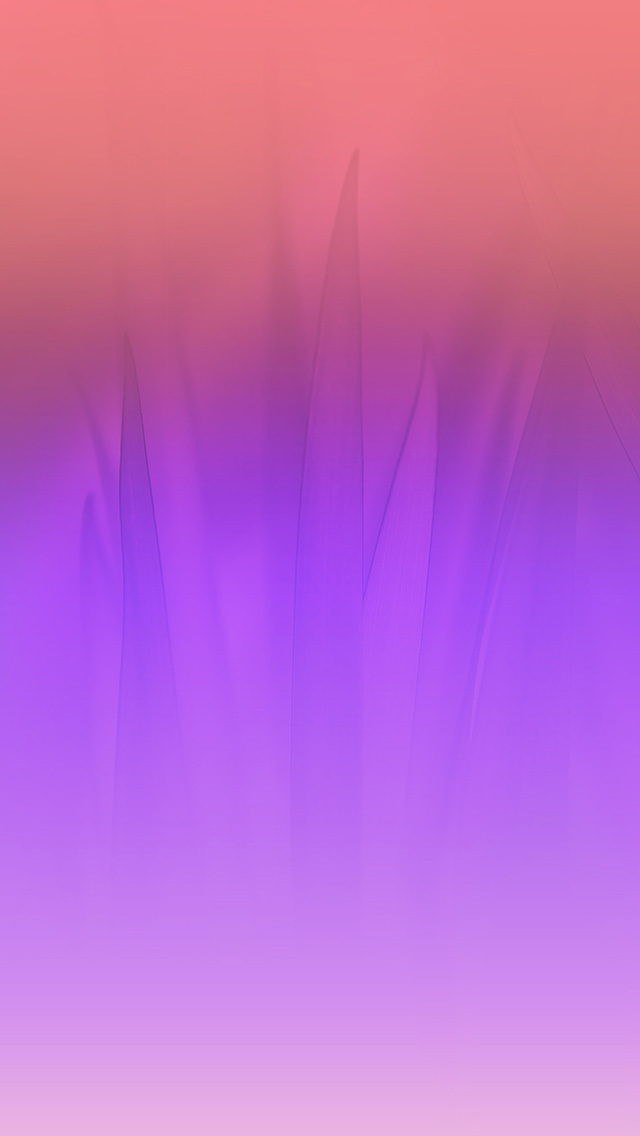 Full Hd Purple Flowers Wallpaper Iphone - HD Wallpaper 