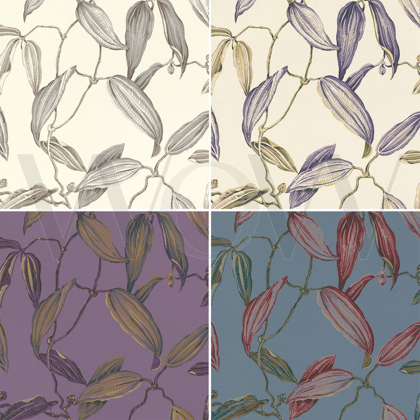 Cocoa Pod - HD Wallpaper 