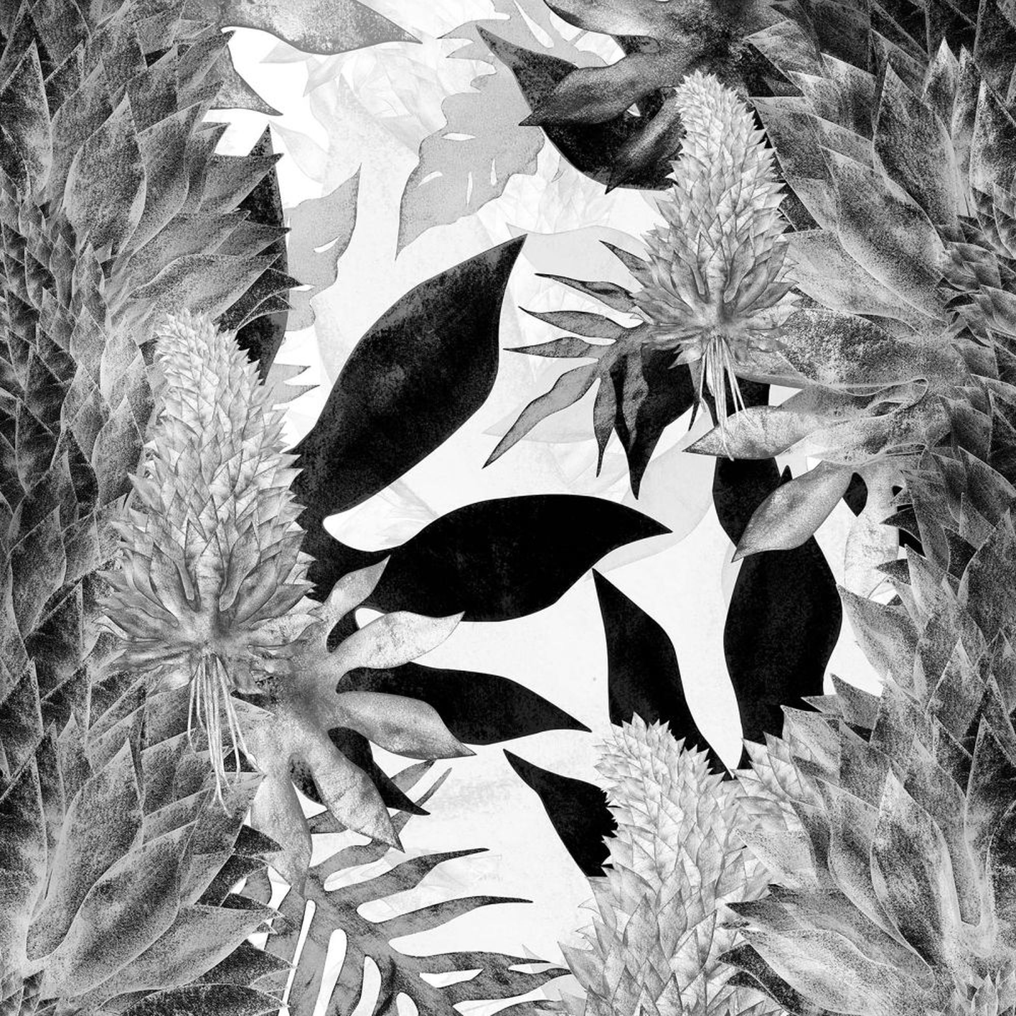 17 Patterns Kimolia - HD Wallpaper 