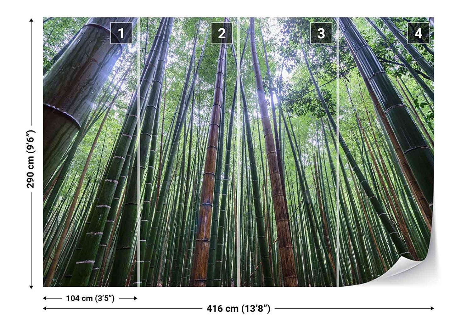 Saw Palmetto - 1500x1036 Wallpaper - teahub.io