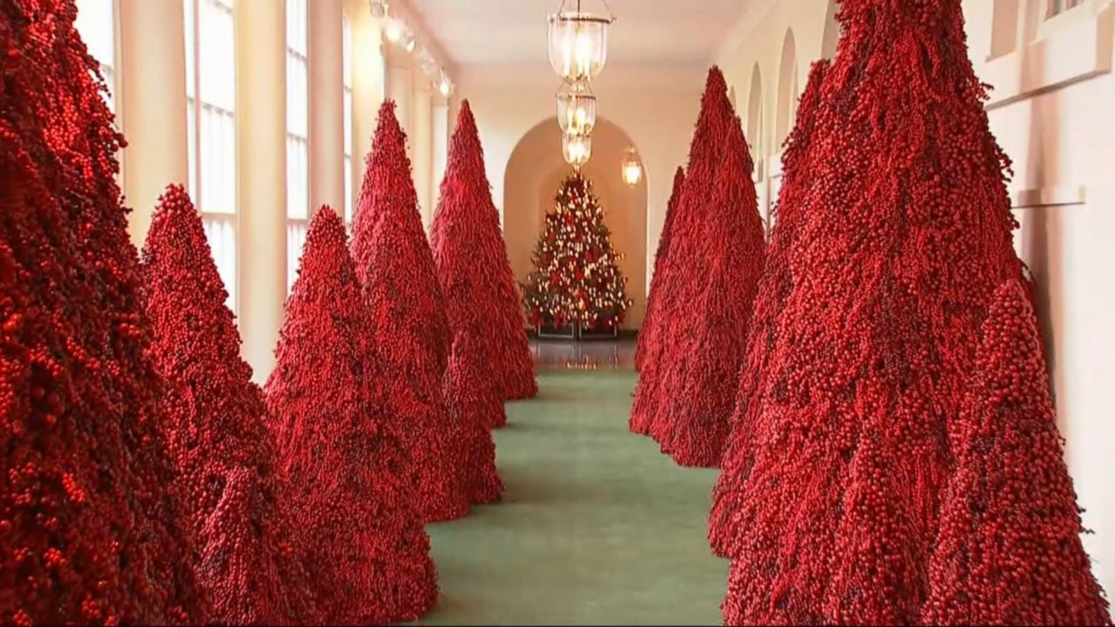 Melania Trump Red Christmas Trees 1600x900 Wallpaper teahub.io