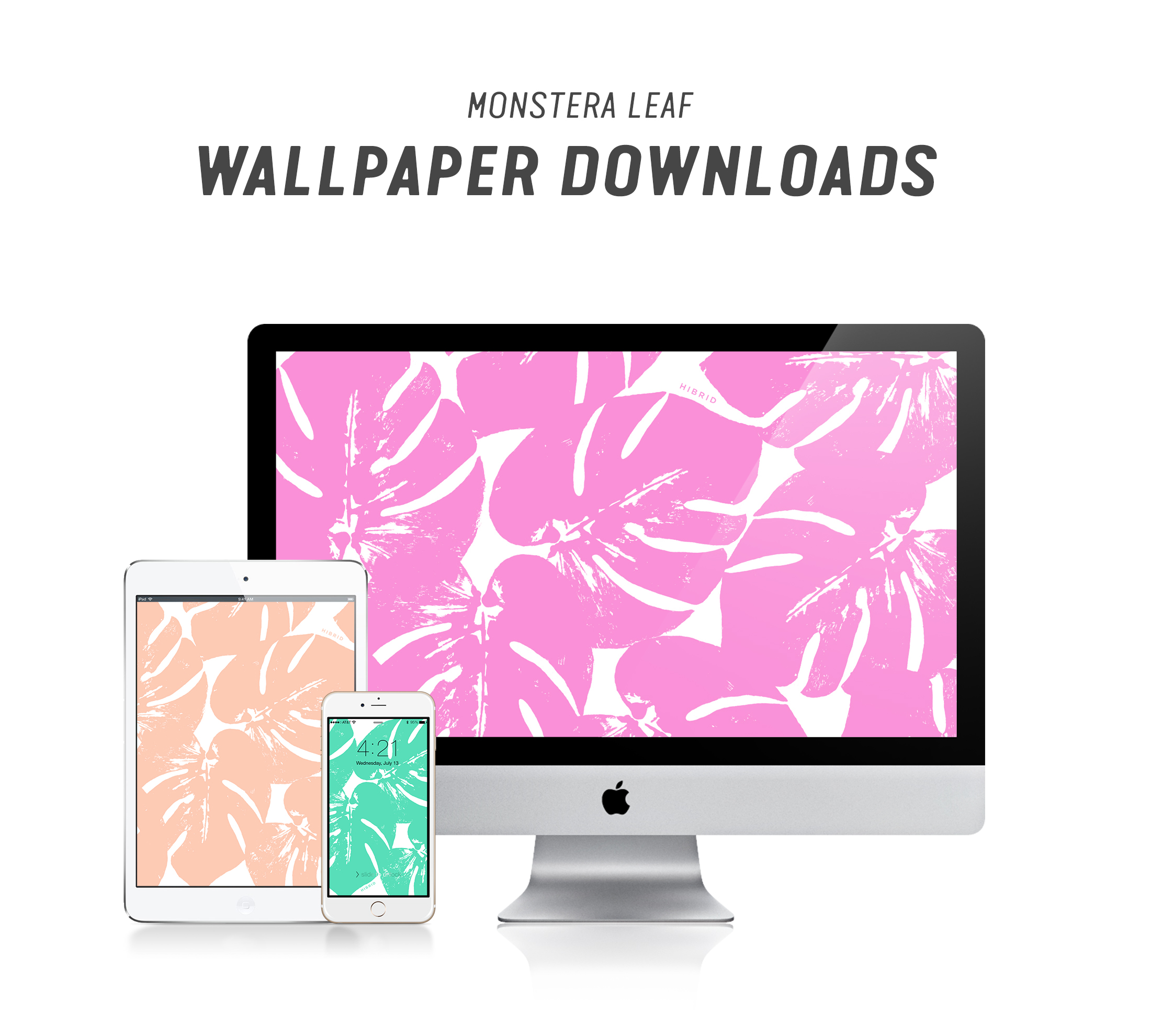 Monstera-title - Seamless Md - HD Wallpaper 