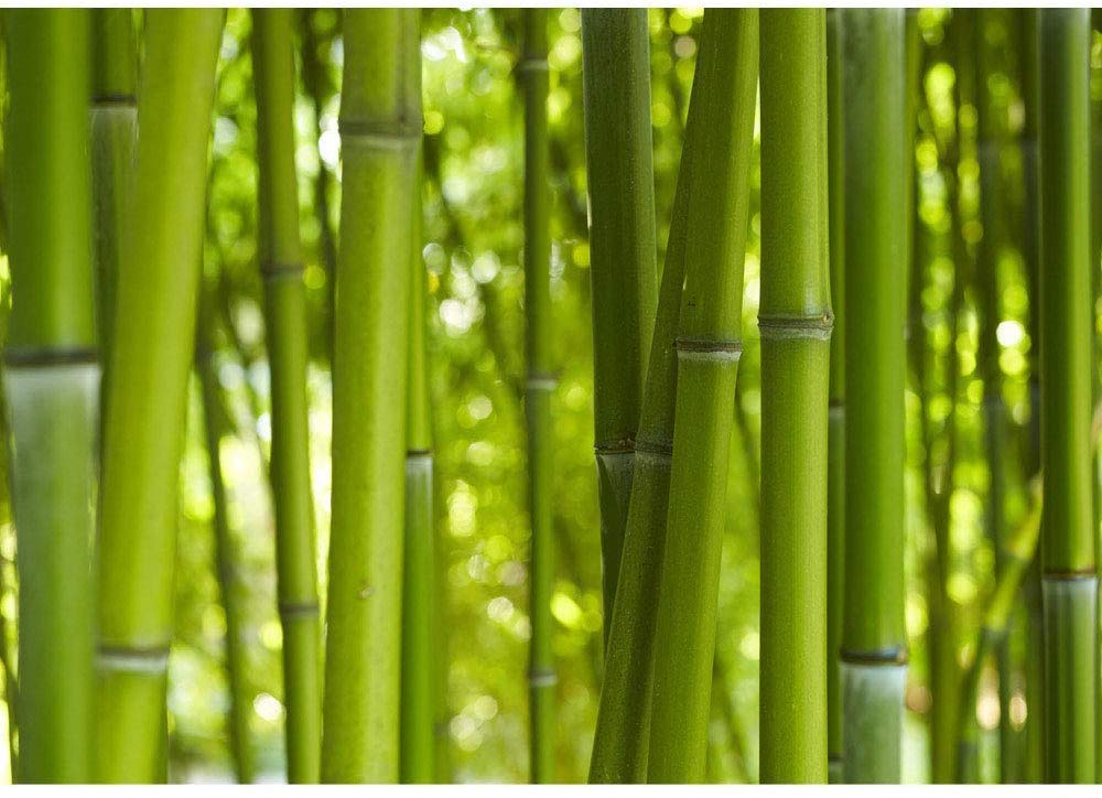 Wall Bamboo Mural - HD Wallpaper 