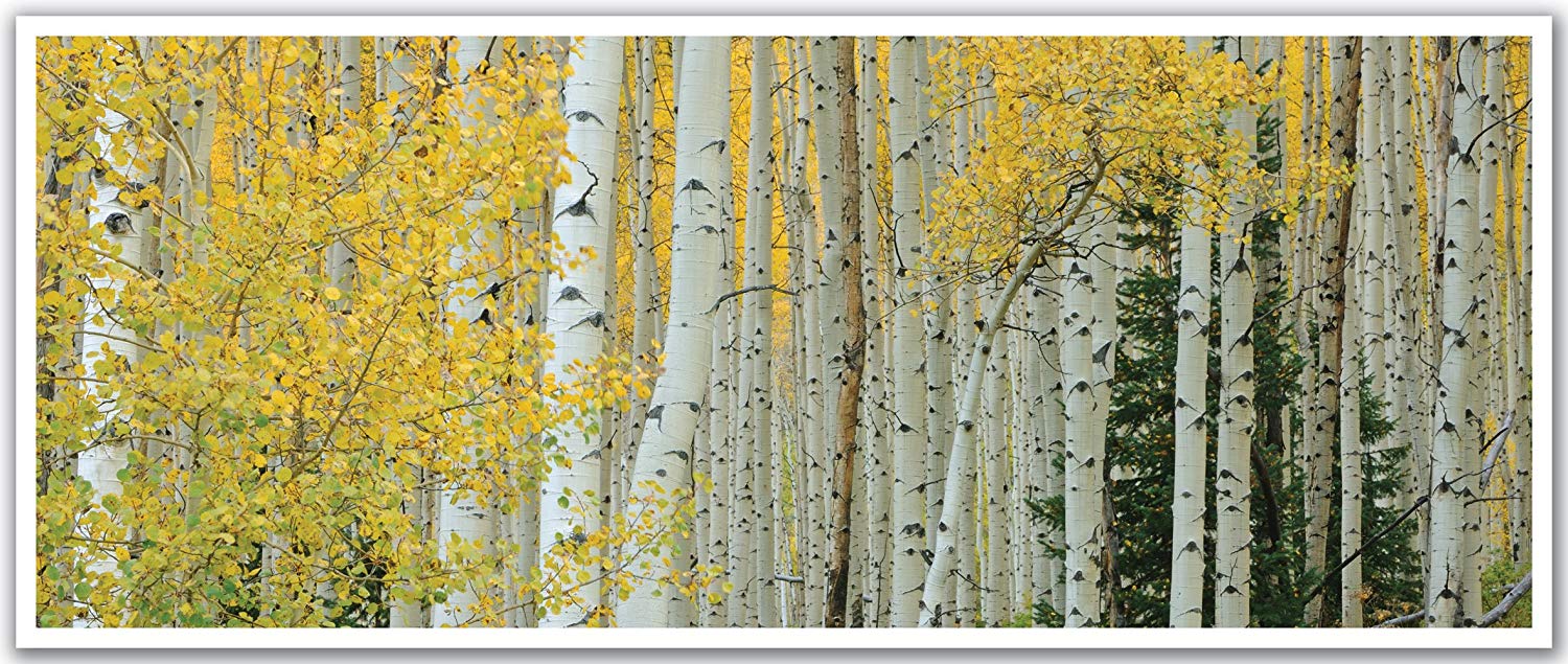 Jp London - HD Wallpaper 