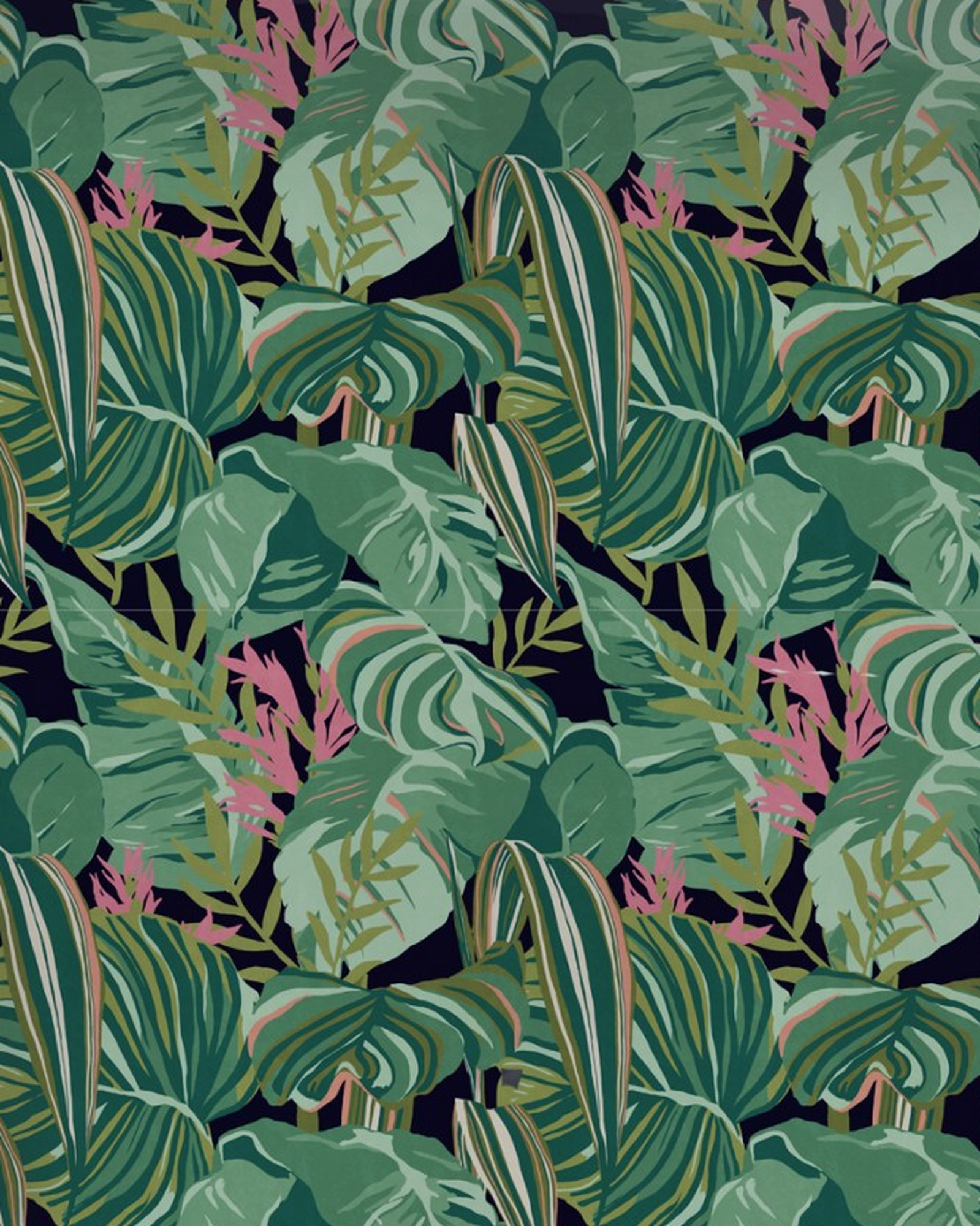 Monstera Leaf Wallpaper - HD Wallpaper 