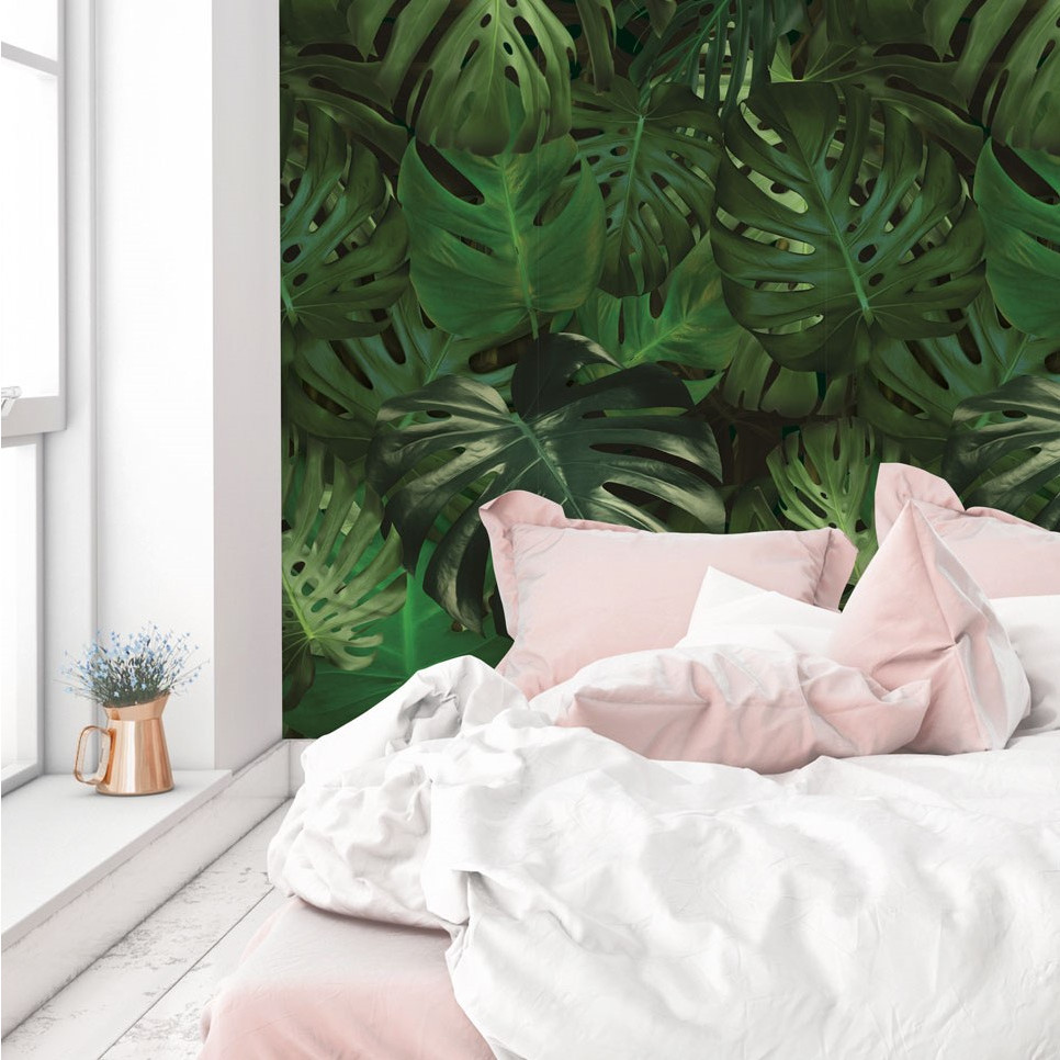 Wallpaper Botanical - Wallcovering Monstera - HD Wallpaper 