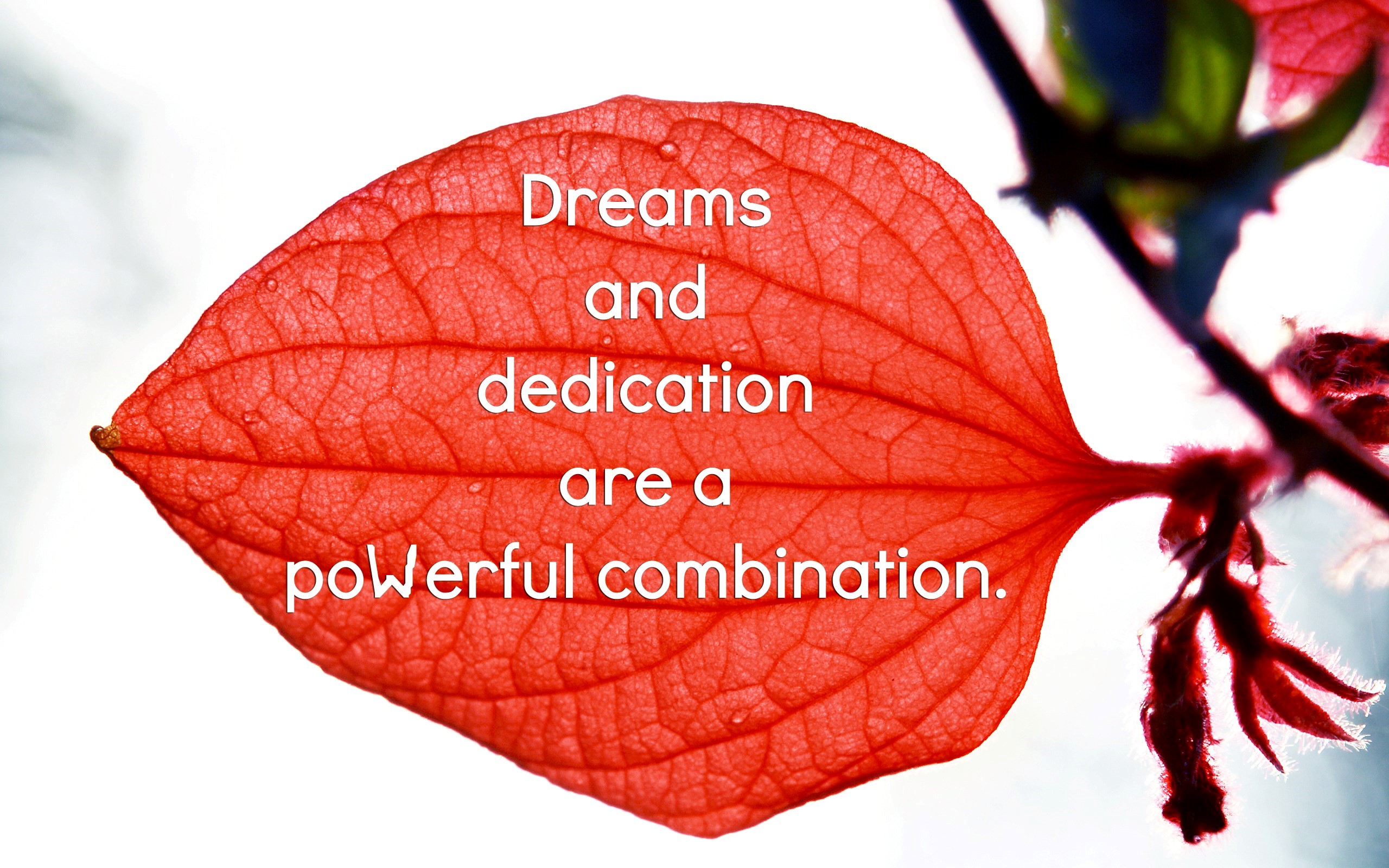 Quote On Dreams High Quality Image - Quotes High Quality Hd - HD Wallpaper 