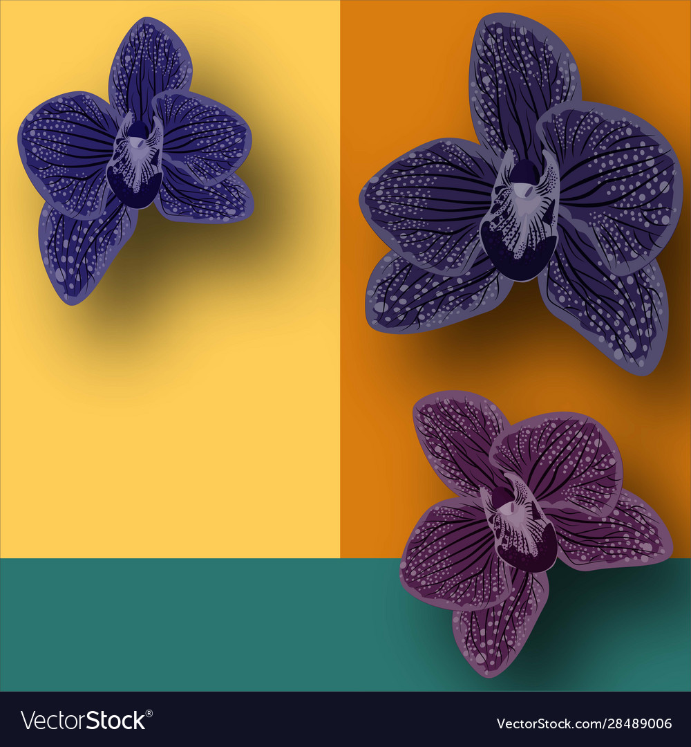 Illustration - HD Wallpaper 