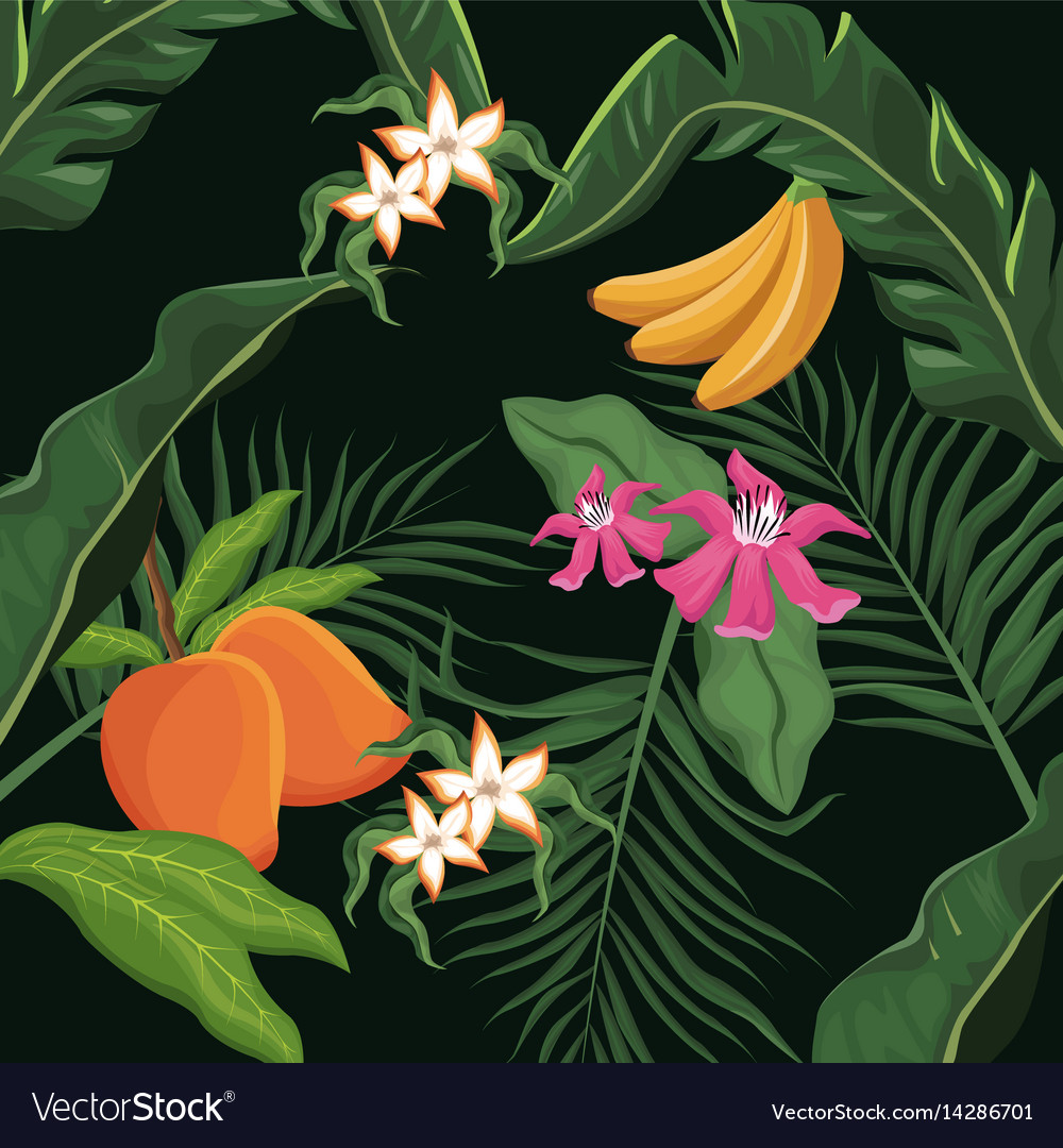 Vector Graphics - HD Wallpaper 