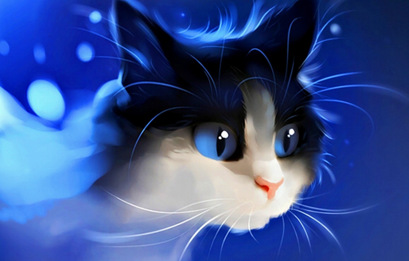 Photo Wallpaper Abstract, Nature, Cat, Animal, Pet - Manga Animaux - HD Wallpaper 