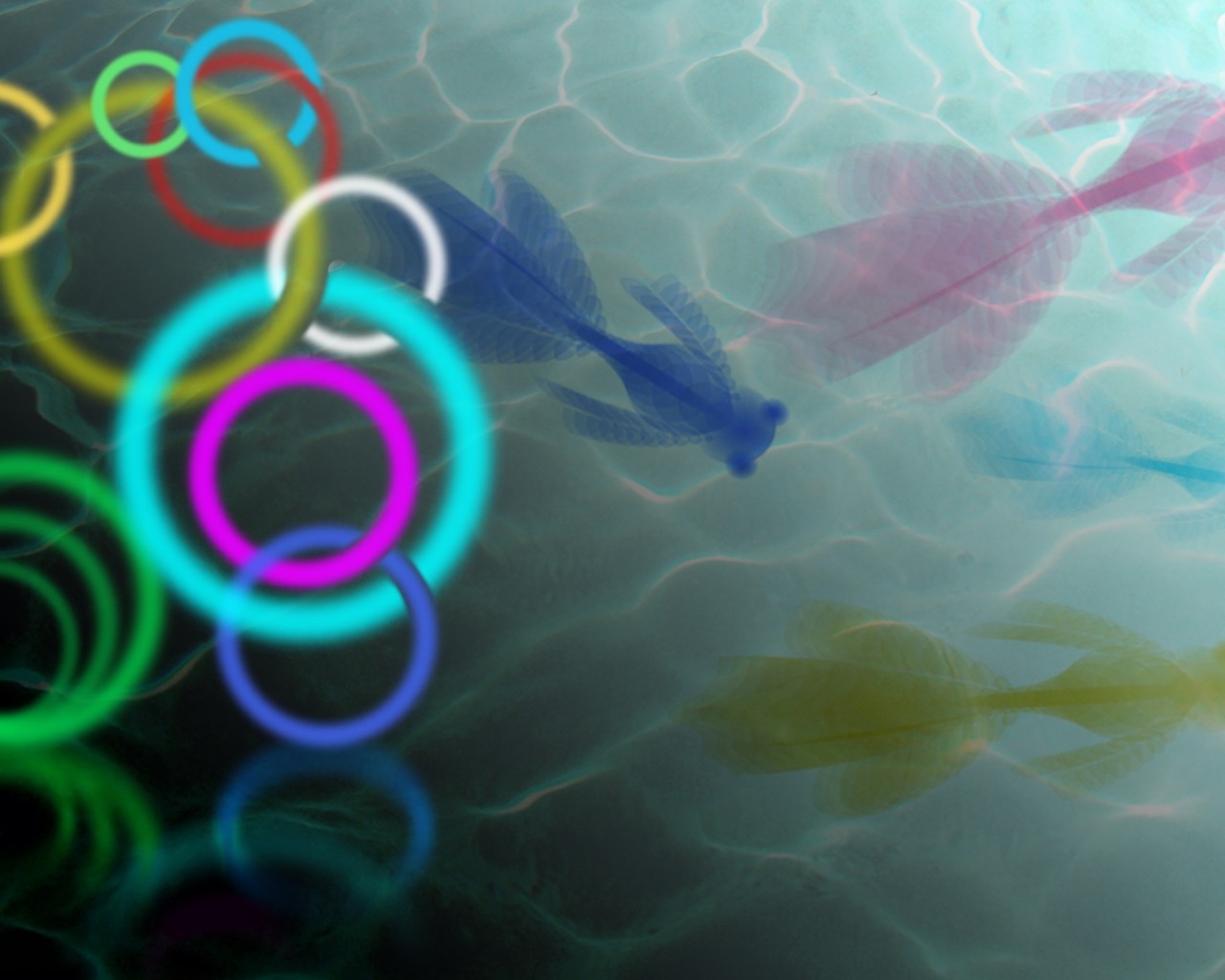 صور خلفيه جميله الوان - HD Wallpaper 