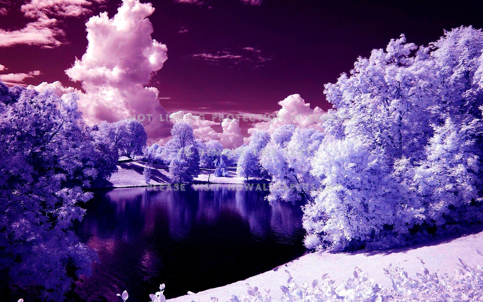Abstract Nature Trees Infrared Lake - Vigeland Park Oslo Winter - HD Wallpaper 