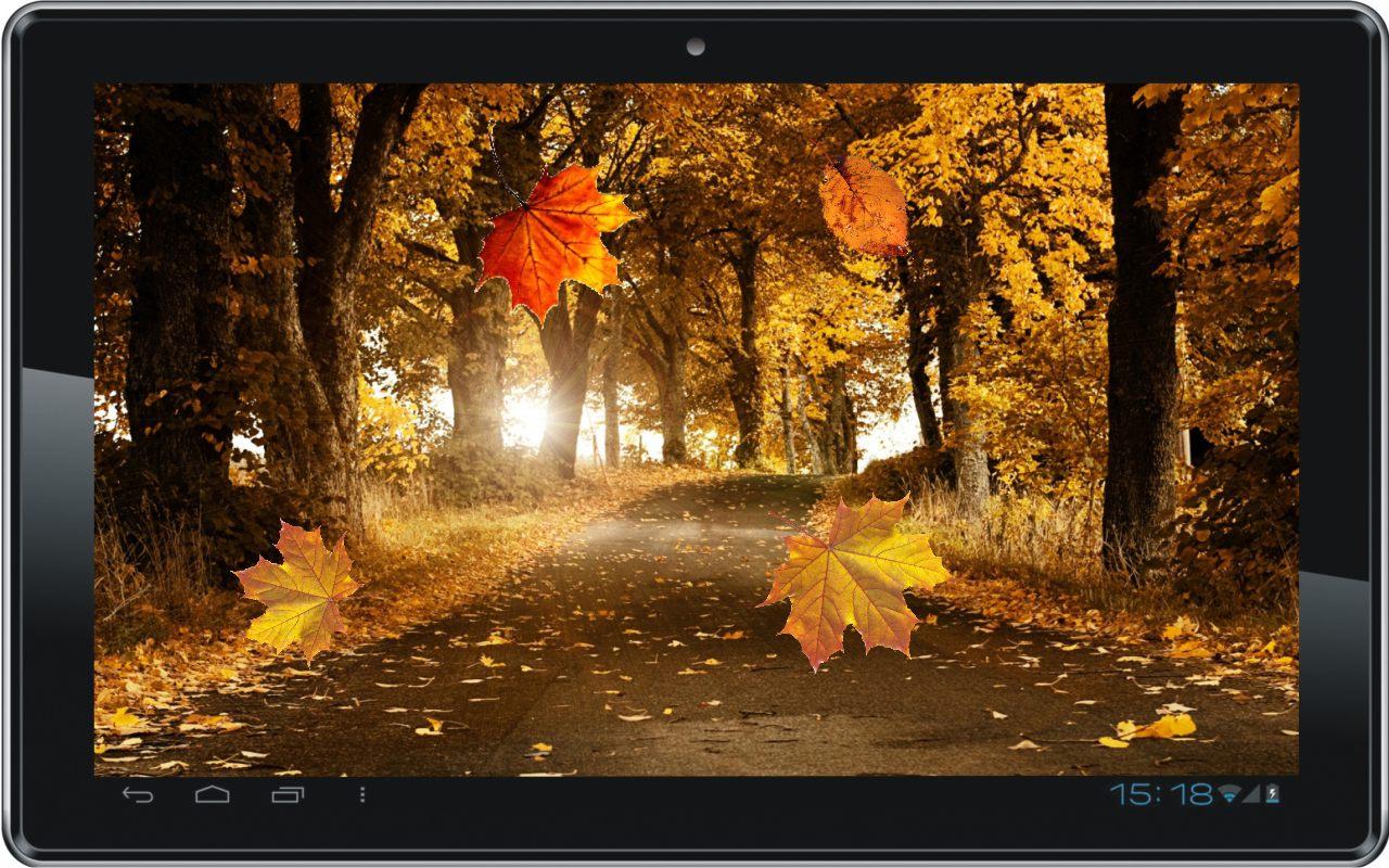 59, Autumn Paris, Picture V - Fall Wallpaper Desktop Live - HD Wallpaper 