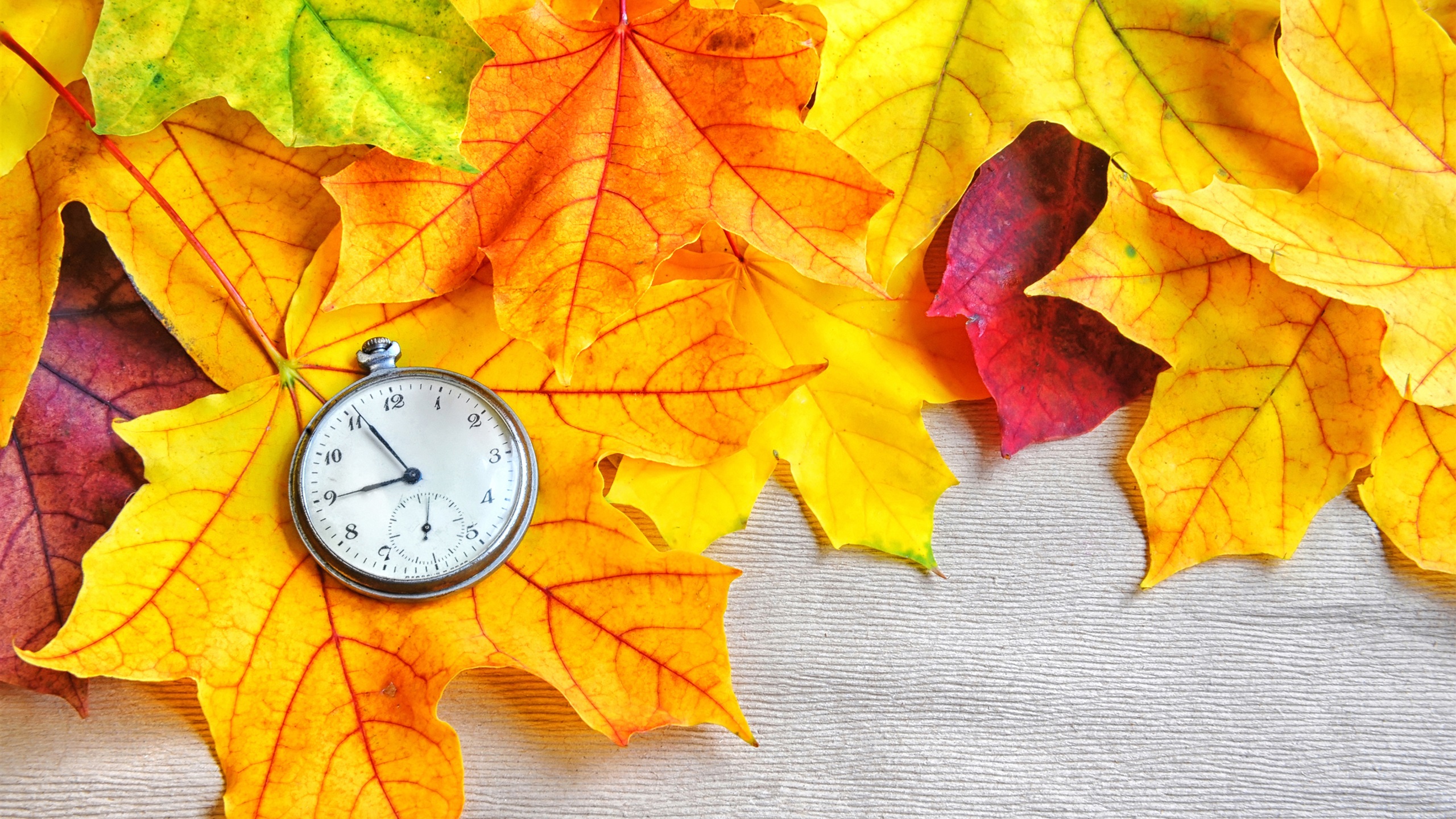 Relojes De Otoño - HD Wallpaper 