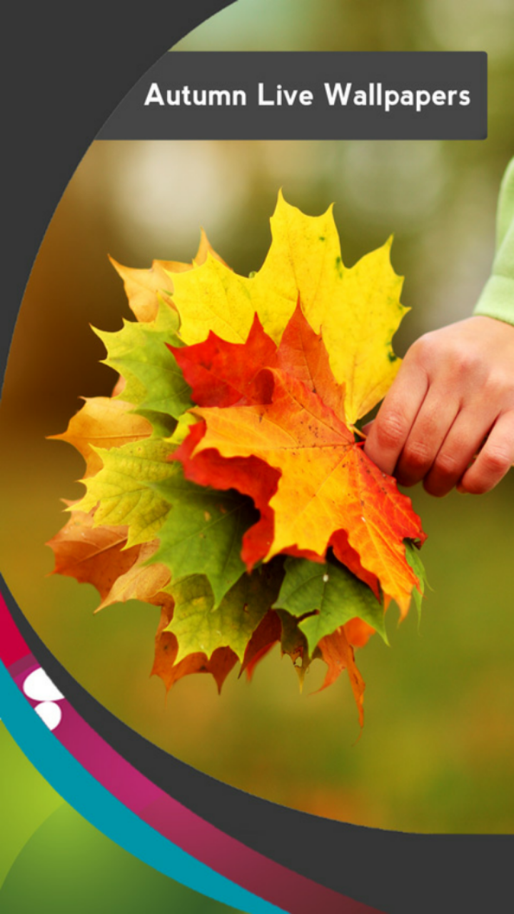 Colour Splash Photographer Sabri Budak - HD Wallpaper 