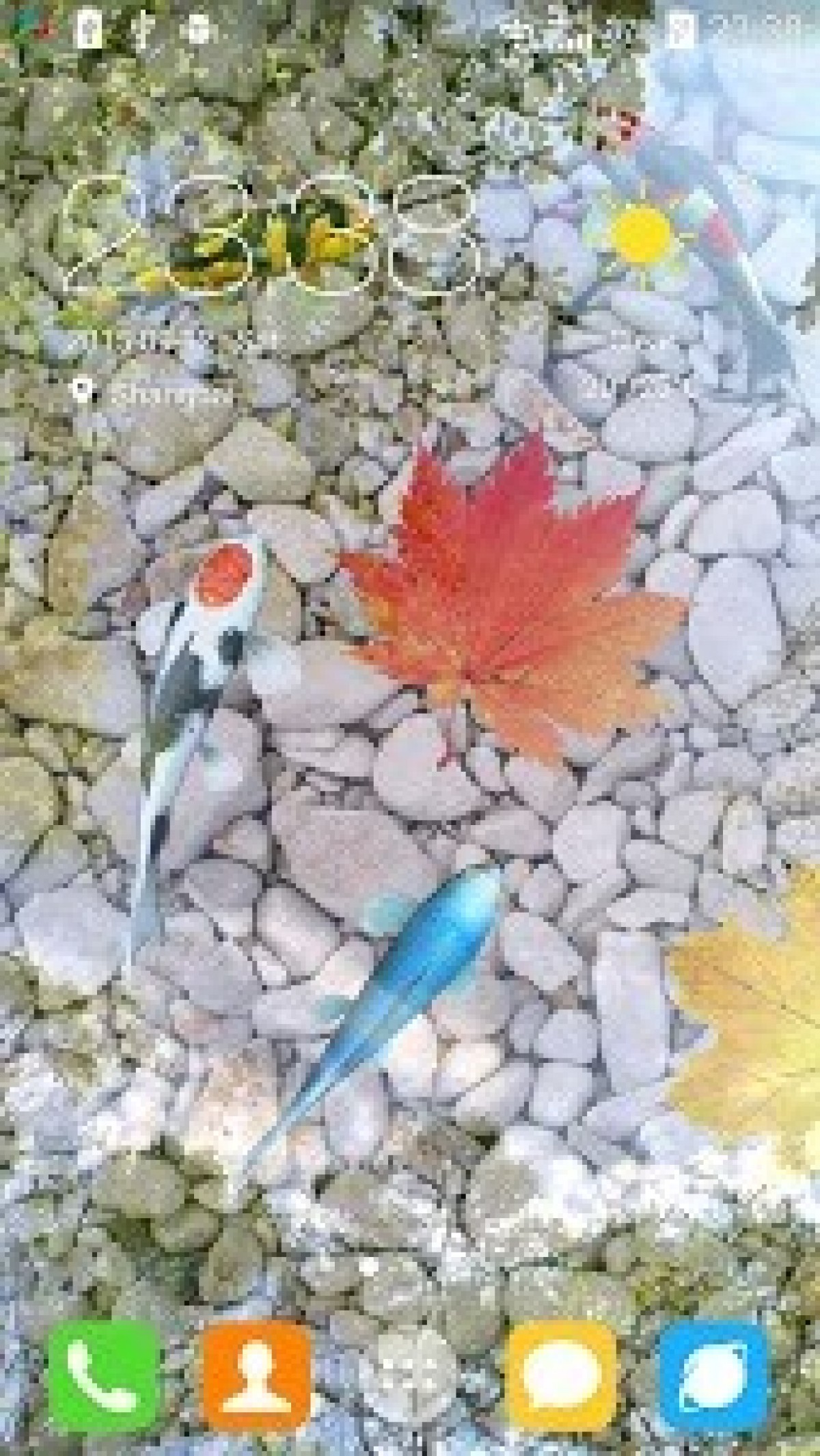 Water Garden Live Wallpaper V1 - 3d Wallpaper Water In Fish - 1200x2130 Wallpaper Water Garden Live Wallpaper V1 - 3d Wallpaper Water In Fish - 1200x2130 Wallpaper