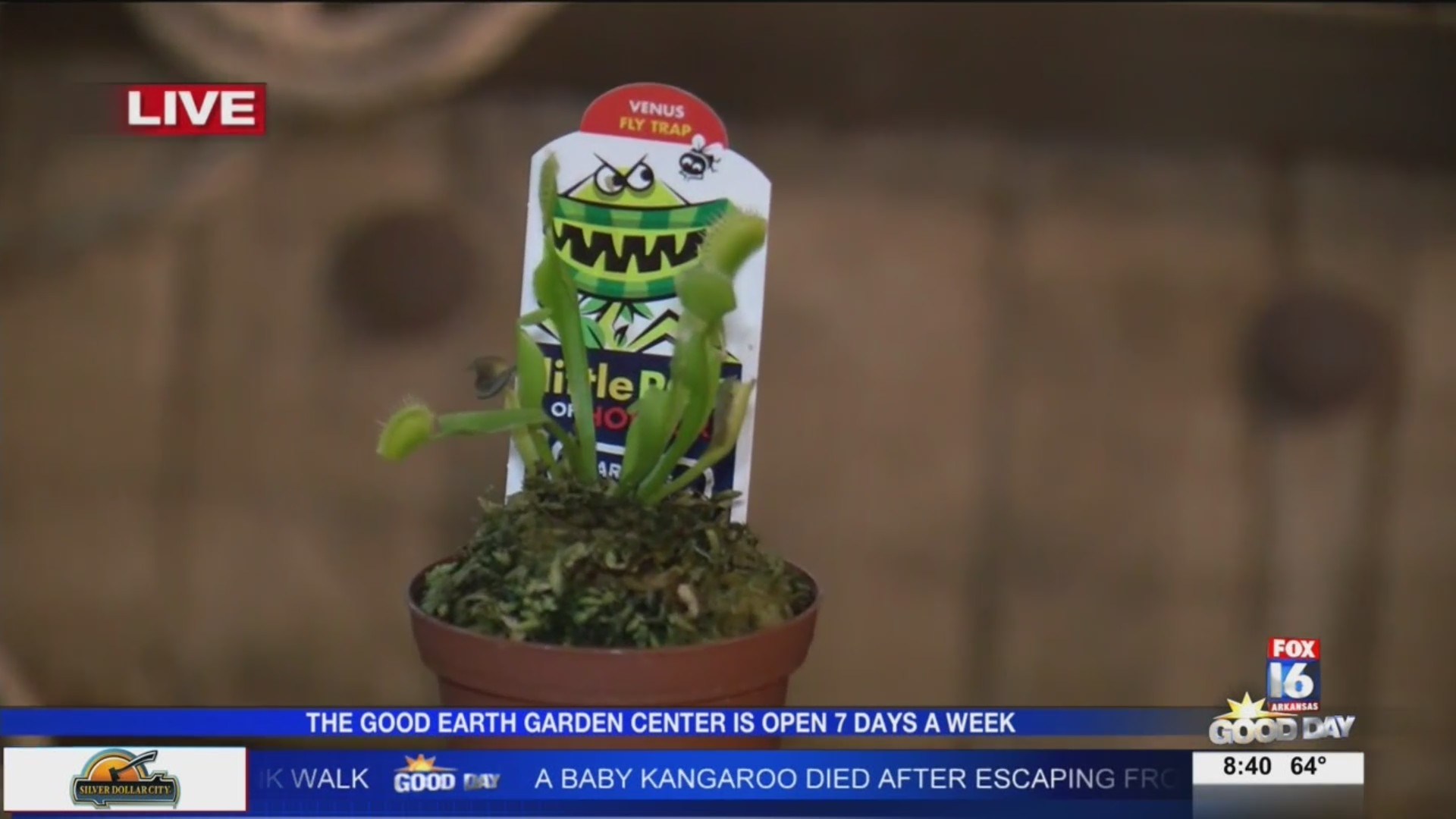 Screenshot - HD Wallpaper 