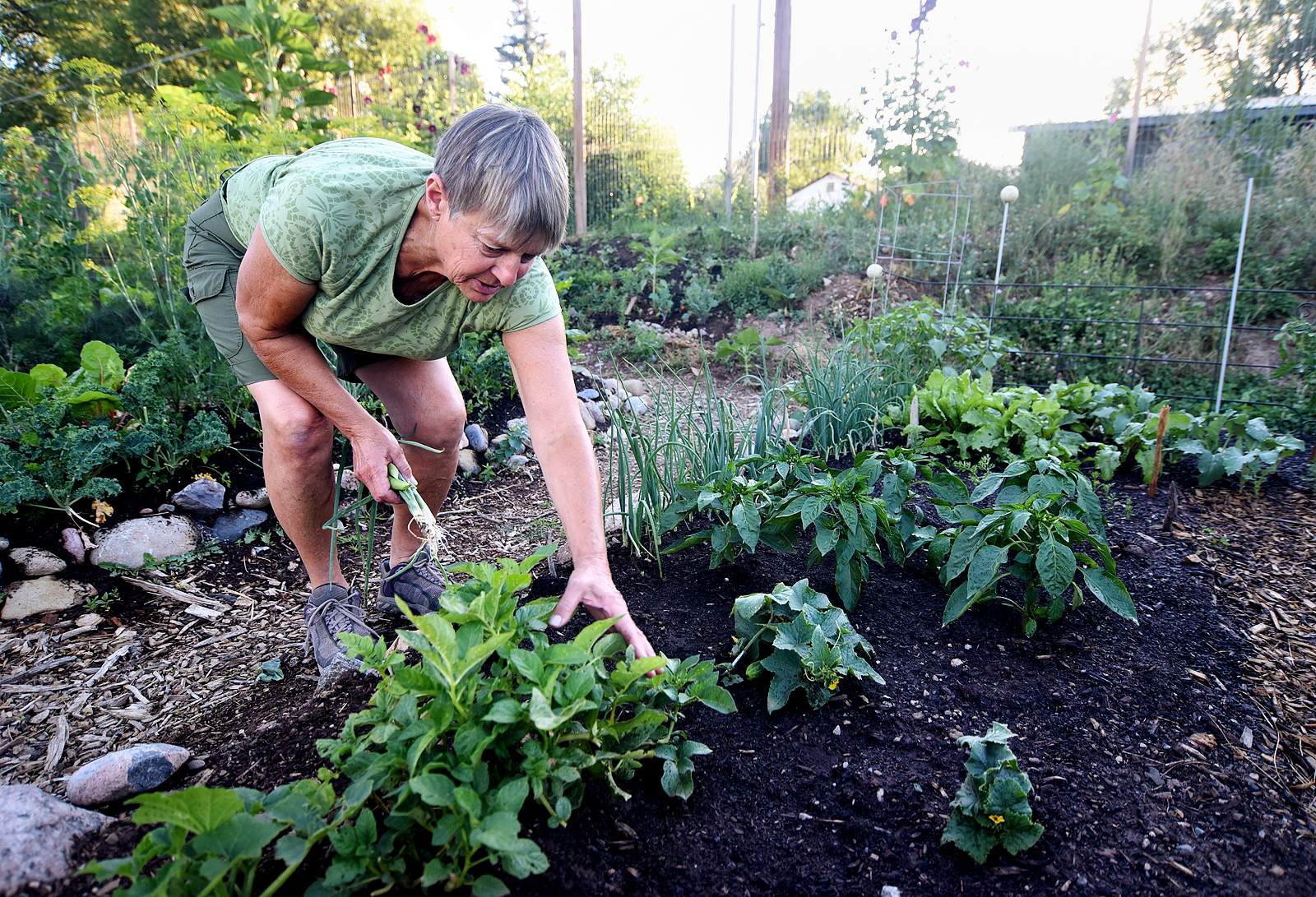 Gardening - HD Wallpaper 