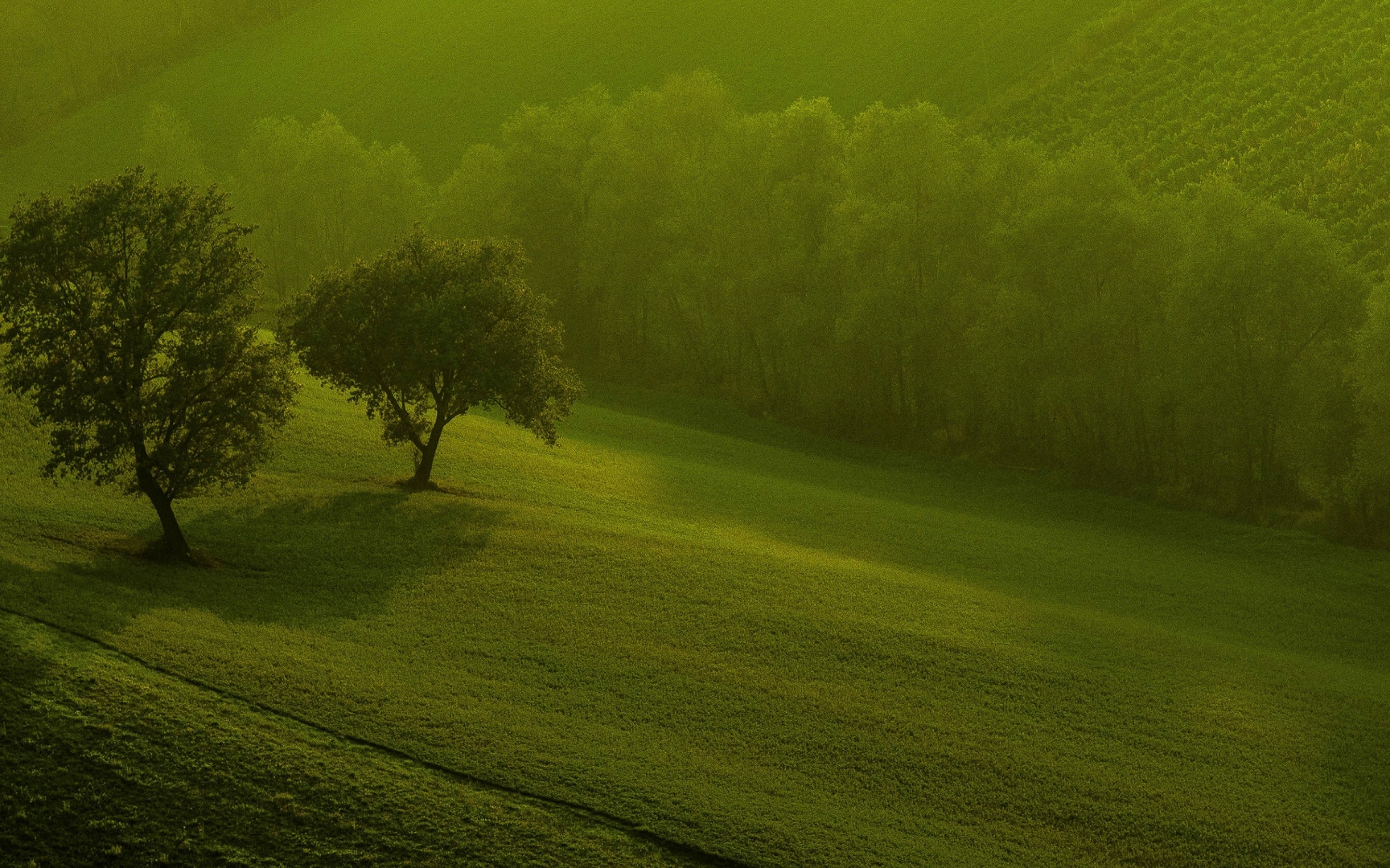 Wallpaper Nature Full Size Hd - 2880x1800 Wallpaper Wallpaper Nature Full Size Hd - 2880x1800 Wallpaper