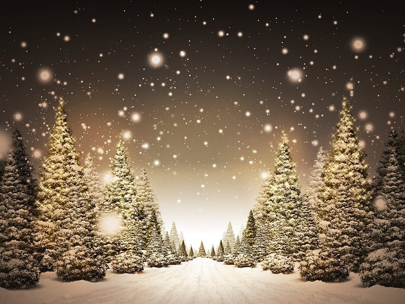 Amazing Beautiful Christmas Trees Wallpaper - Snowed In At Christmas - HD Wallpaper 